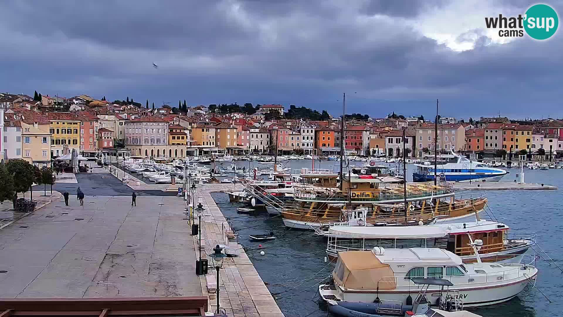 Promenade e marina en Rovinj