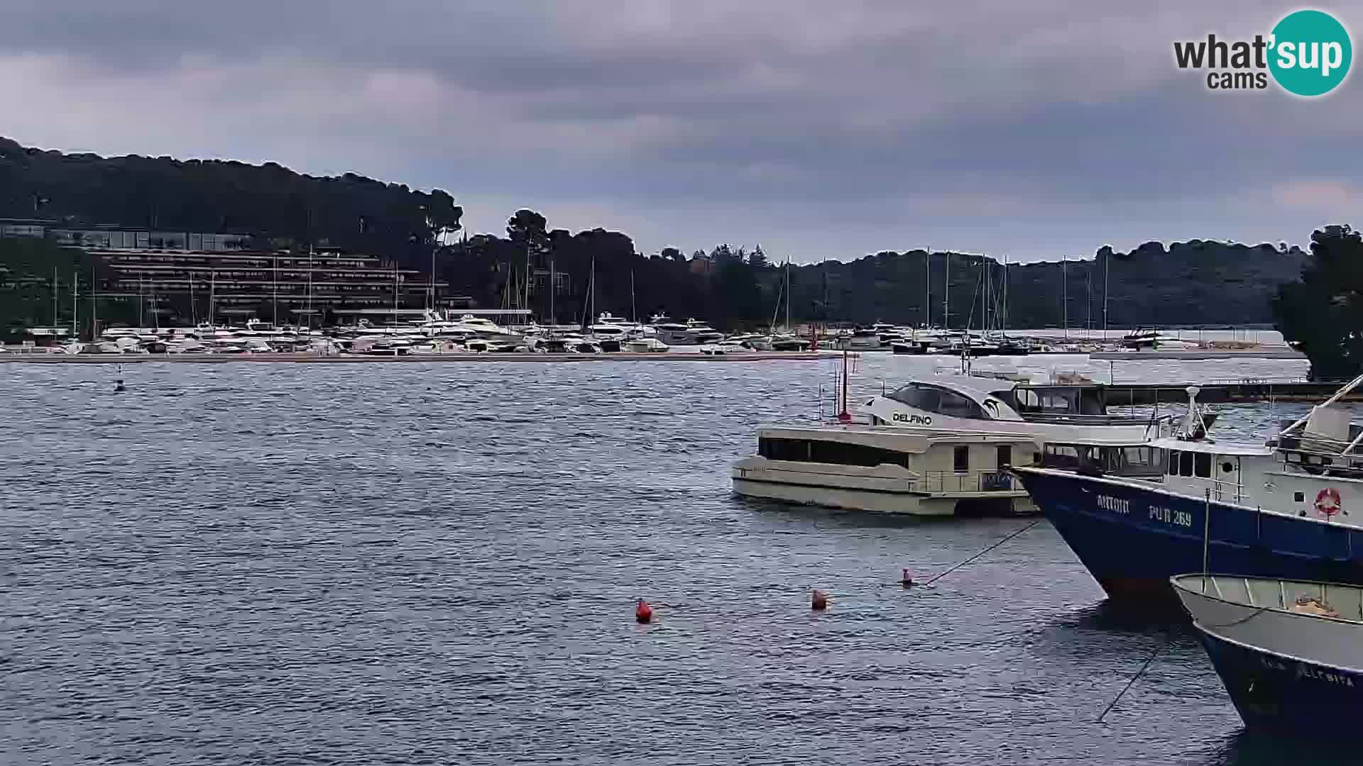 Promenade e marina en Rovinj