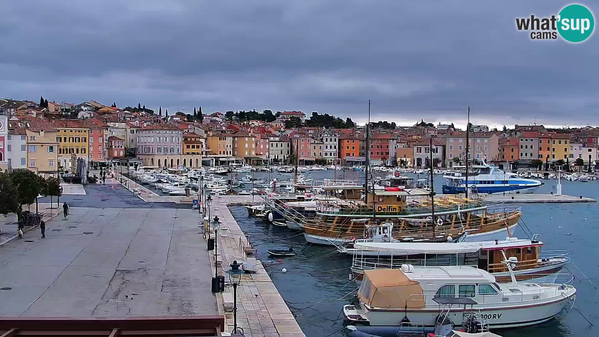 Promenade e marina en Rovinj