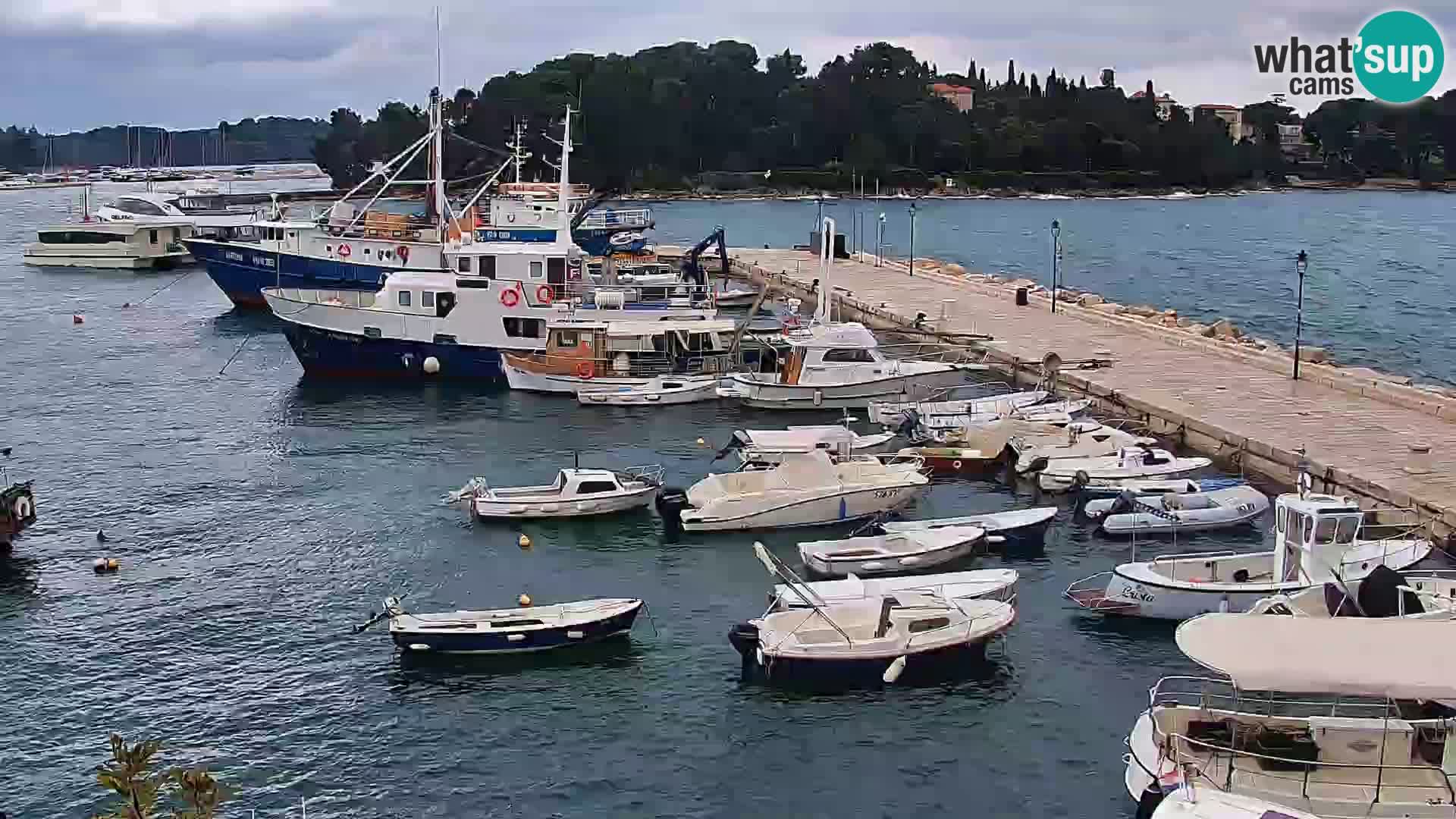 Promenada i marina u Rovinju