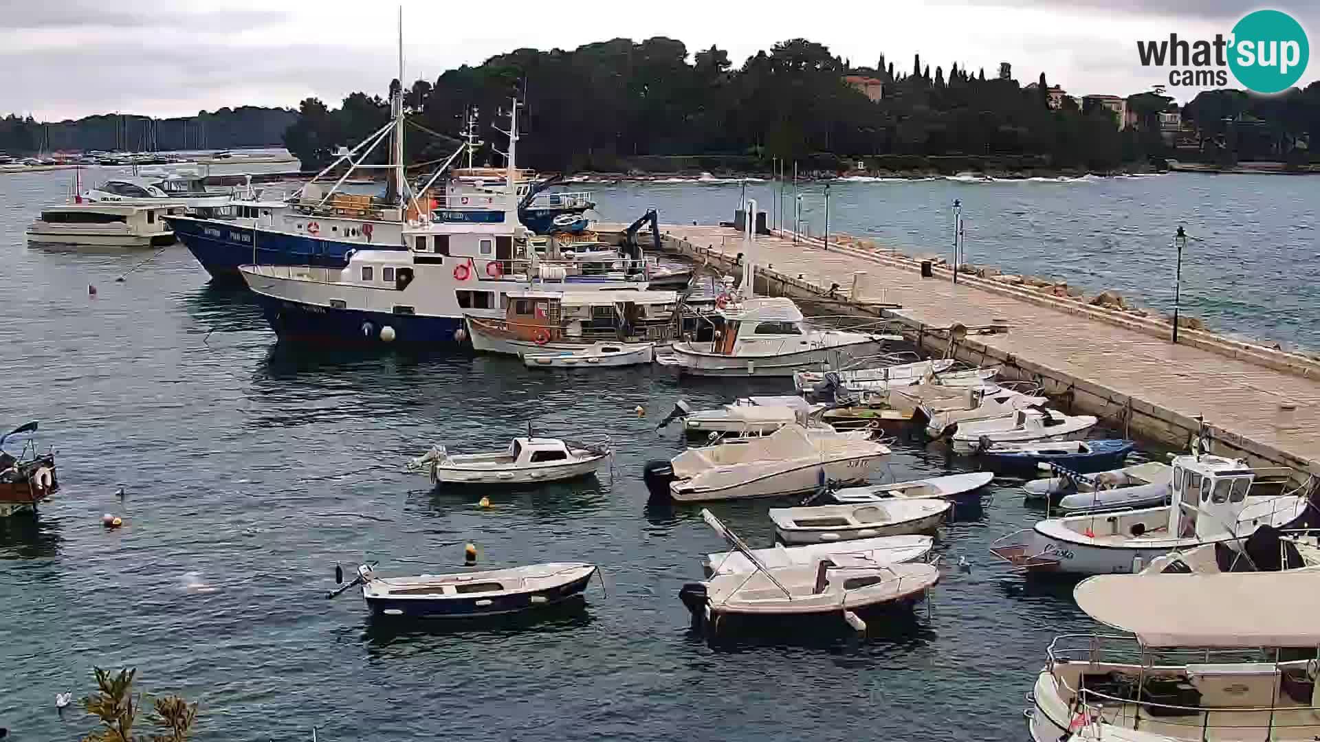 Promenade e marina en Rovinj