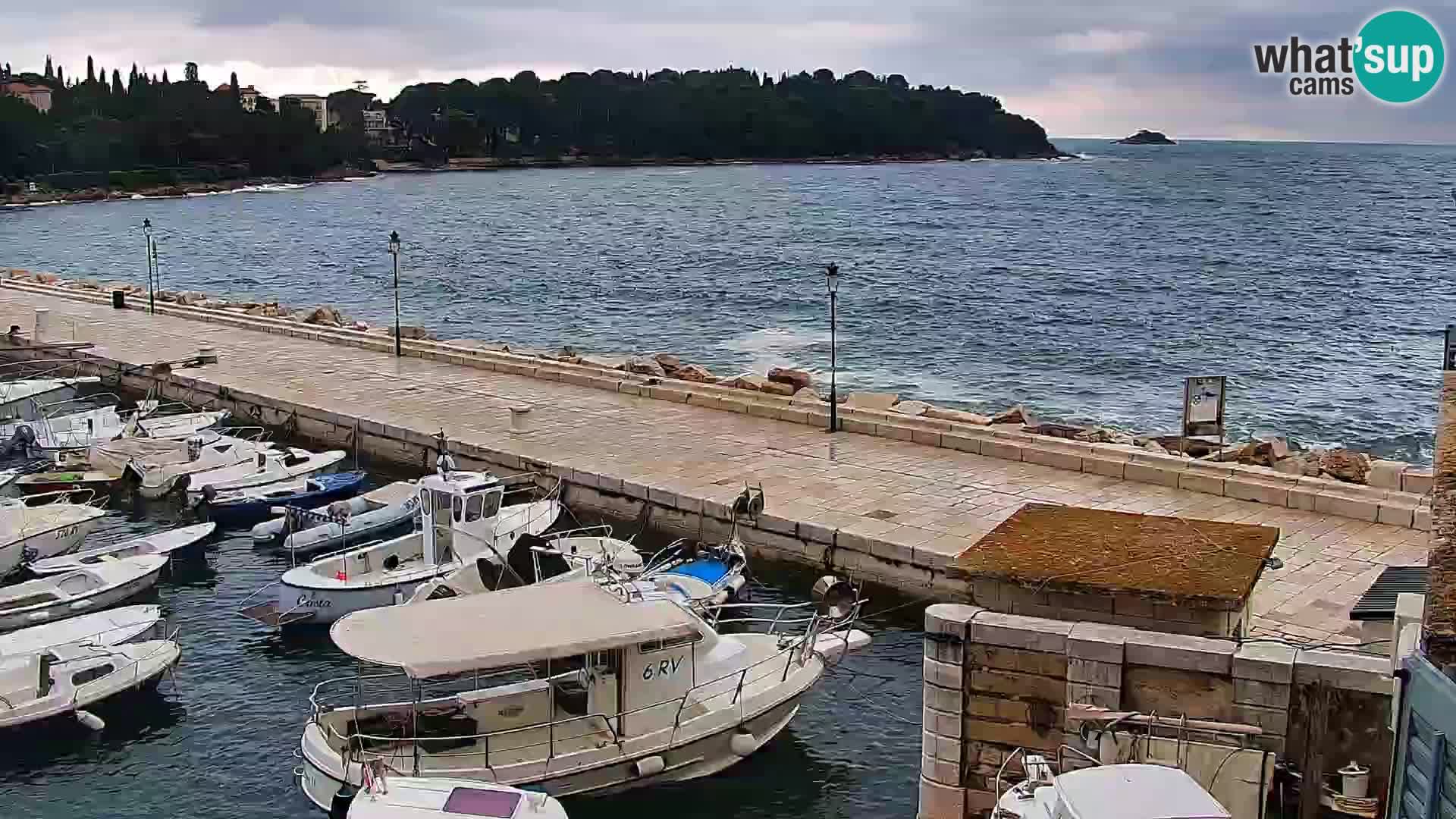 Spletna kamera Rovinj promenada in marina | Rovinj Vreme