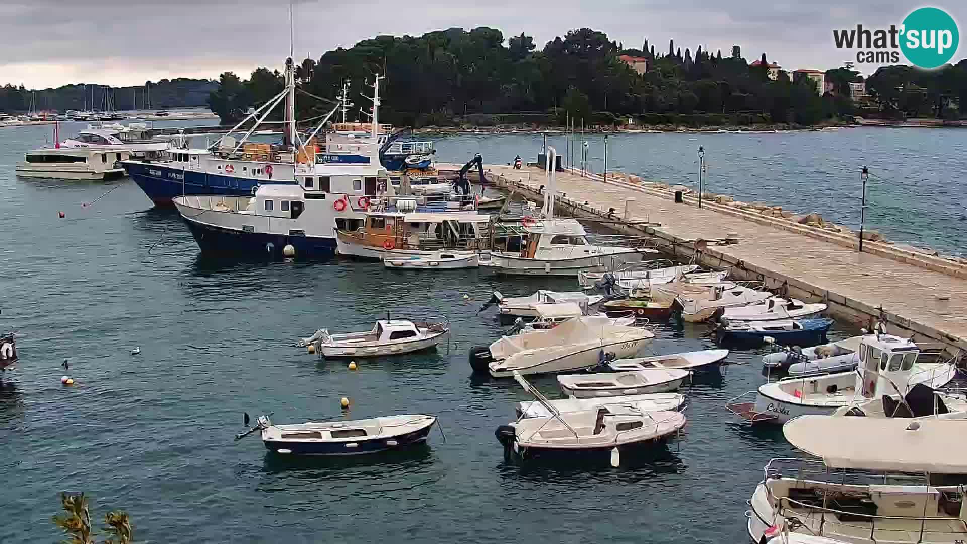 Spletna kamera Rovinj promenada in marina | Rovinj Vreme