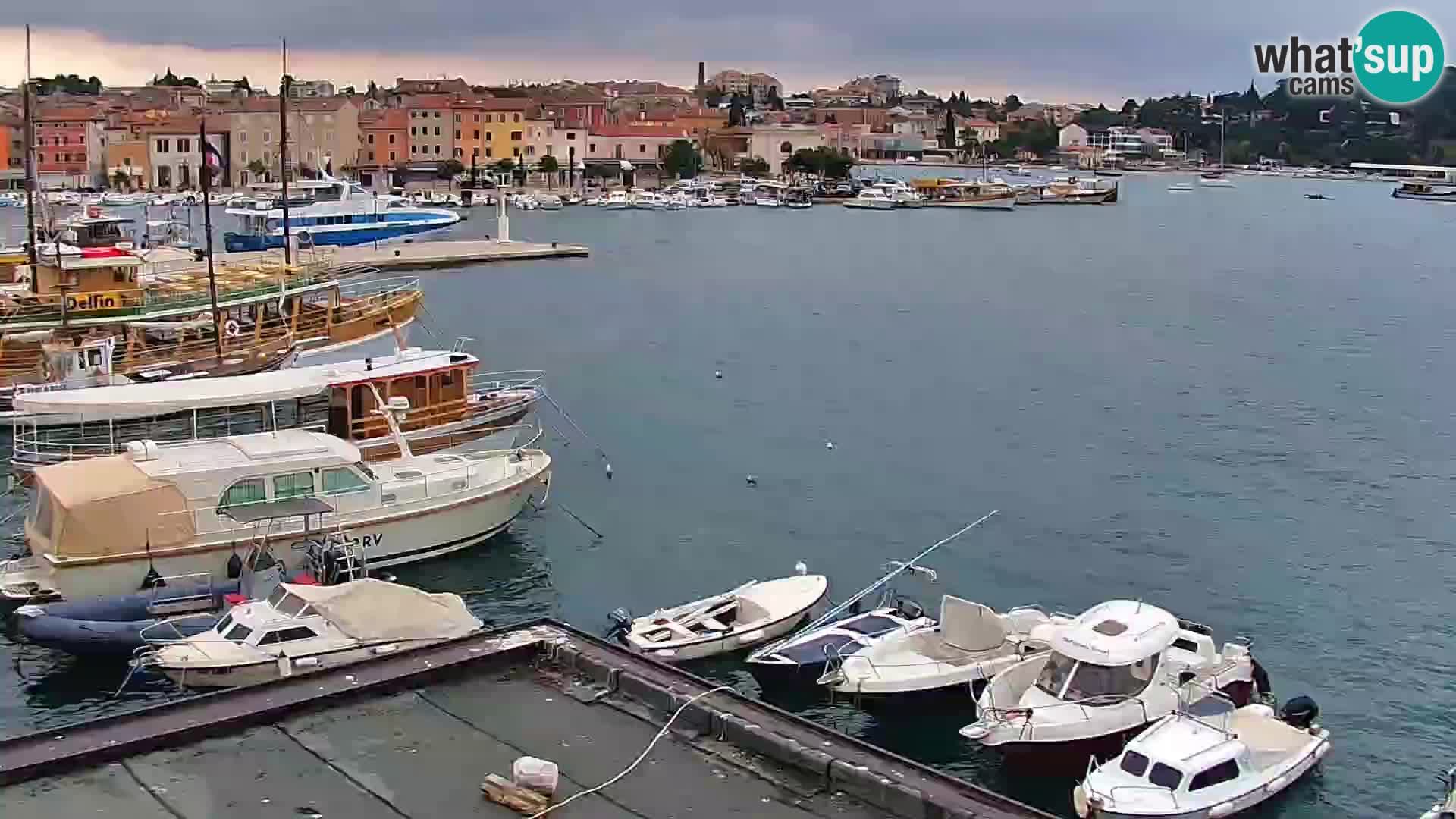 Promenade e marina en Rovinj