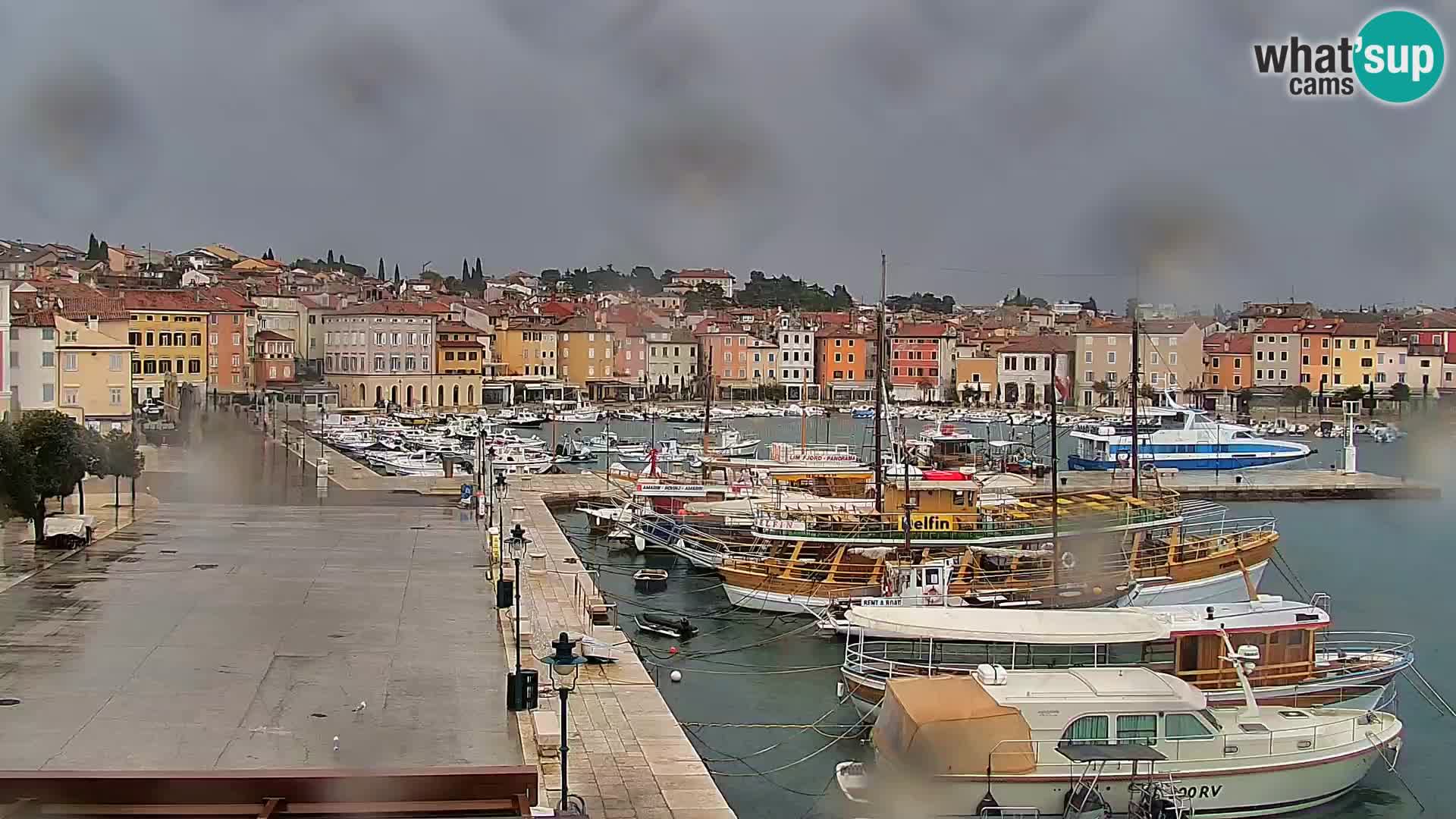 Promenade e marina en Rovinj