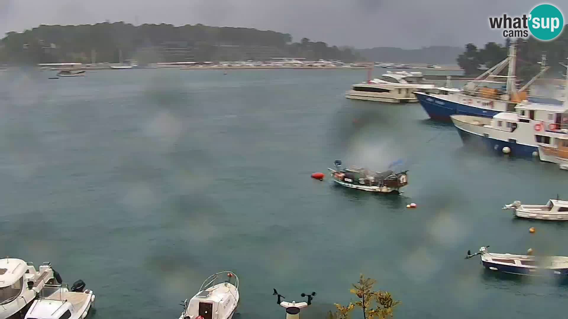 Webcam Rovigno marina | Lungomare | Rovinj Croazia