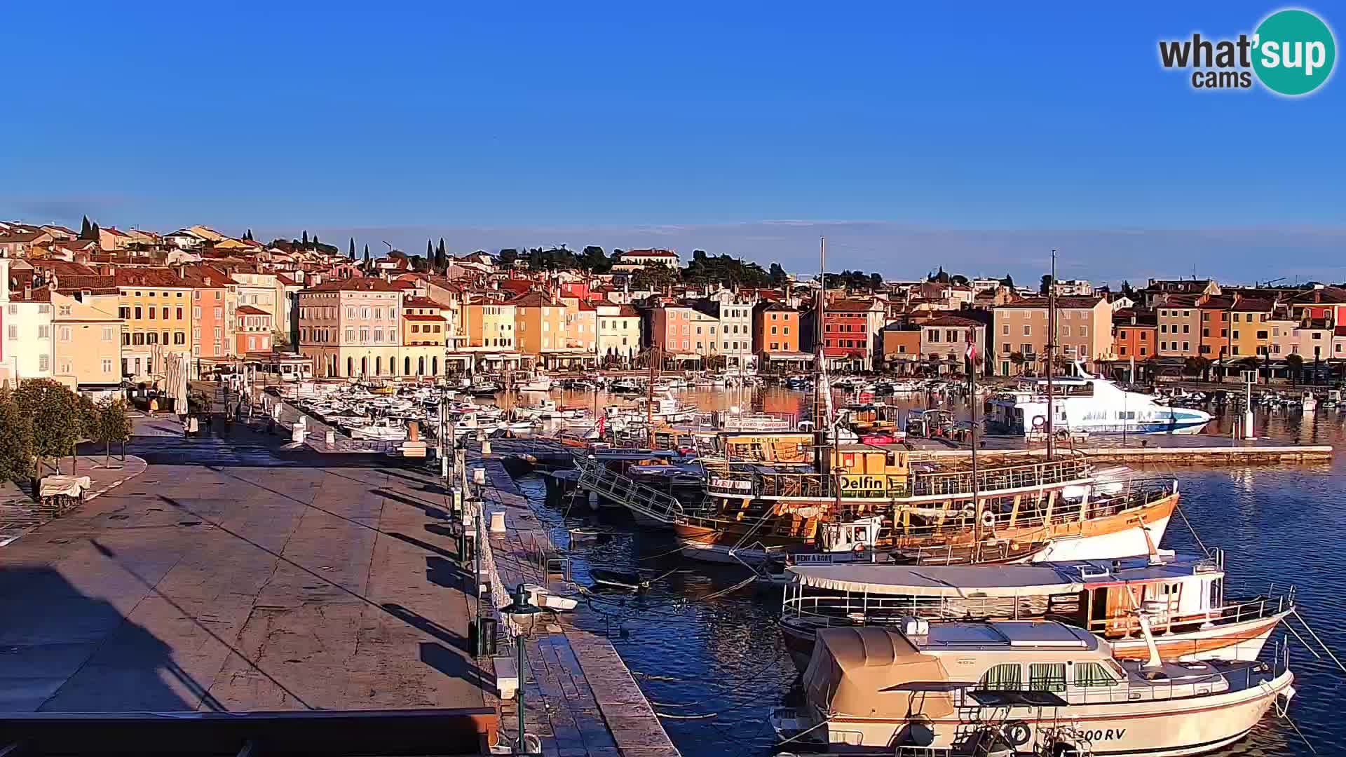 Webcam Rovigno marina | Lungomare | Rovinj Croazia