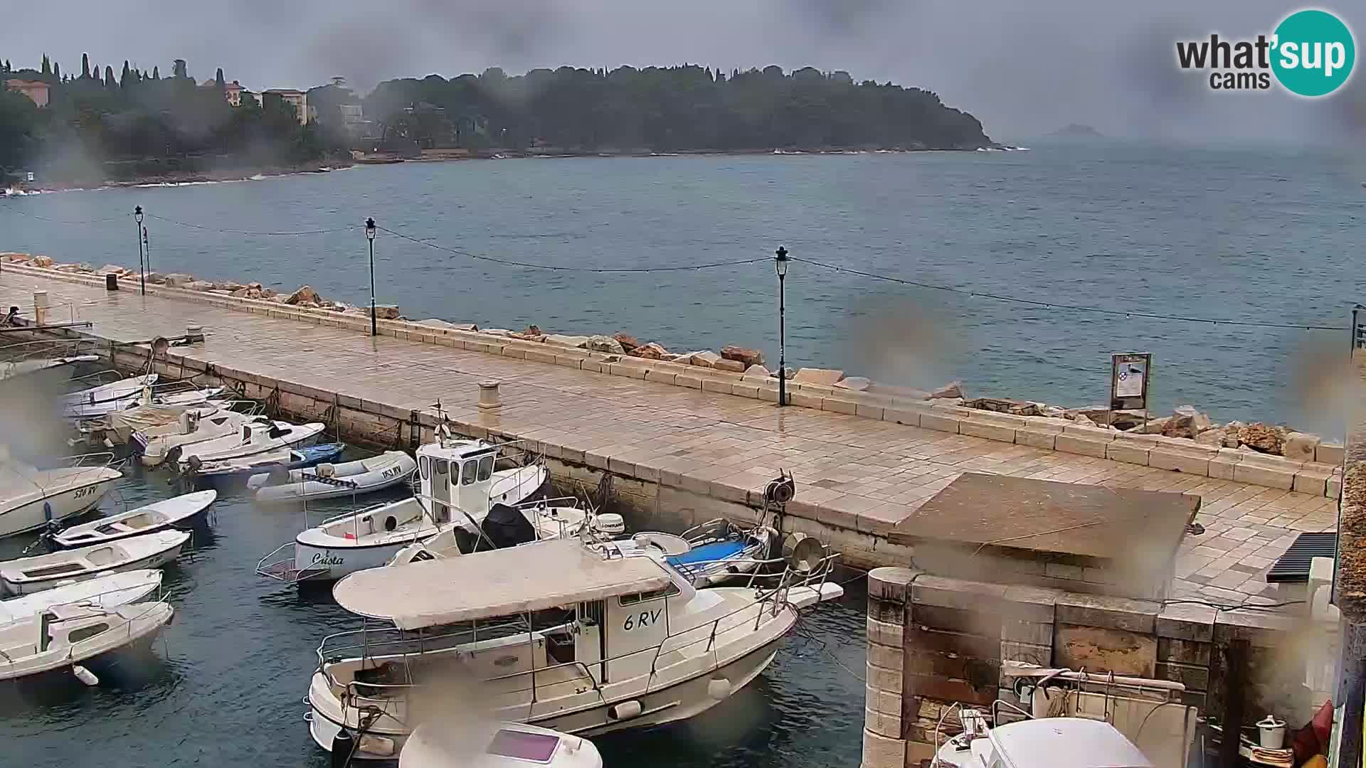 Promenade e marina en Rovinj