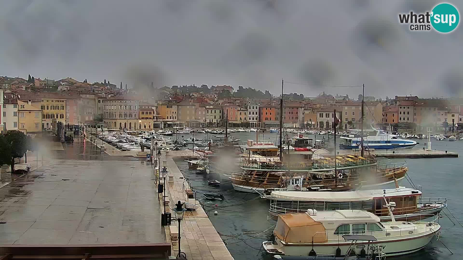 Webcam Rovigno marina | Lungomare | Rovinj Croazia