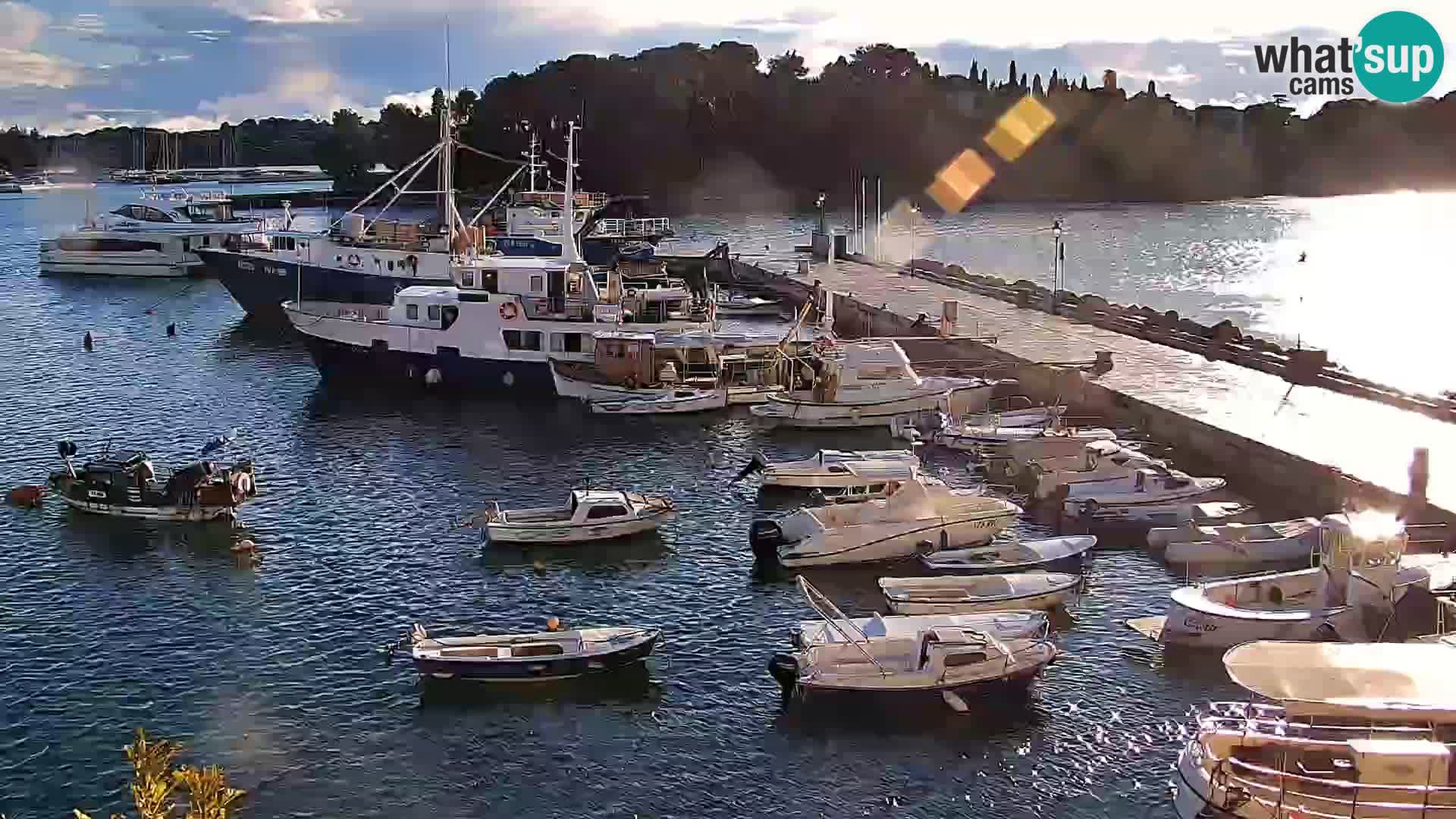 Promenade e marina en Rovinj