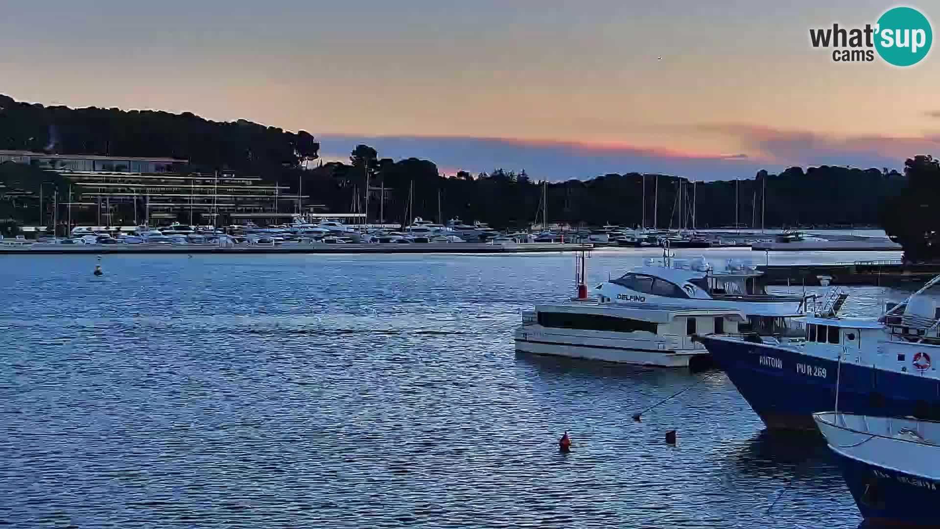 Webcam Rovigno marina | Lungomare | Rovinj Croazia