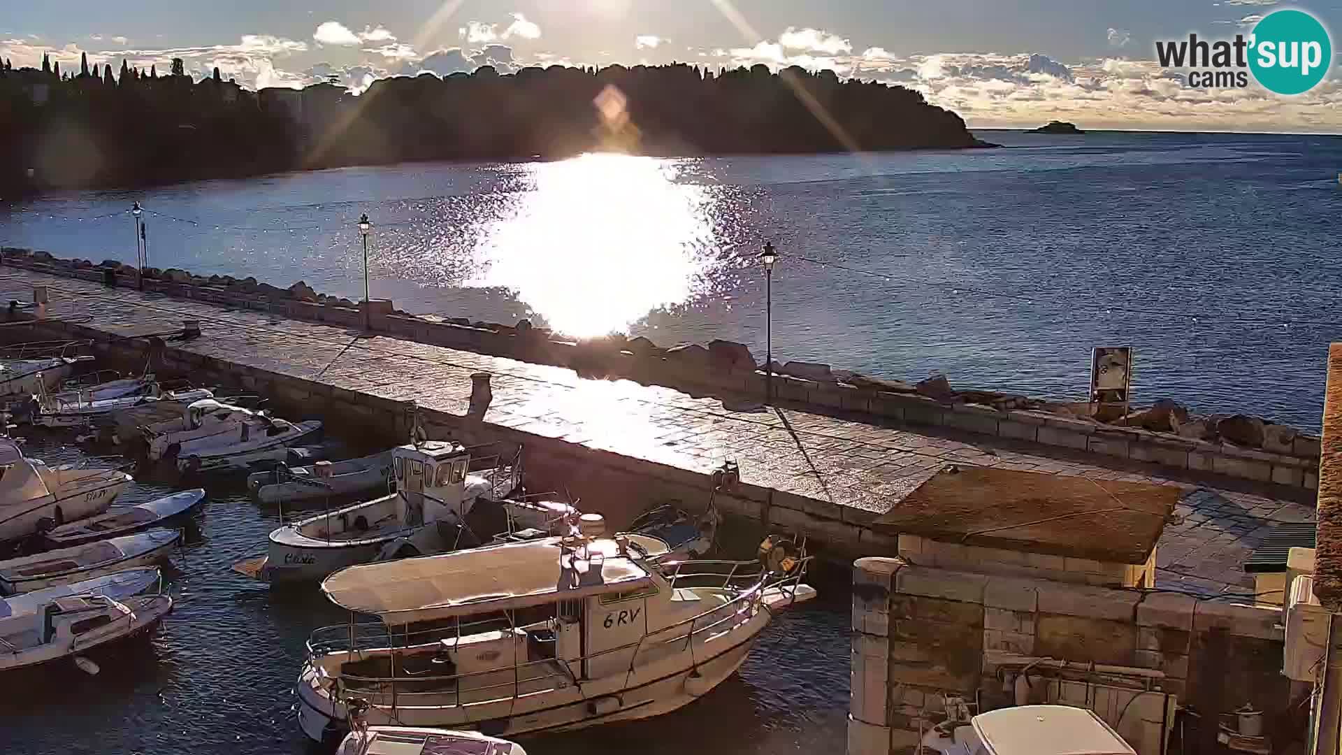 Promenade e marina en Rovinj