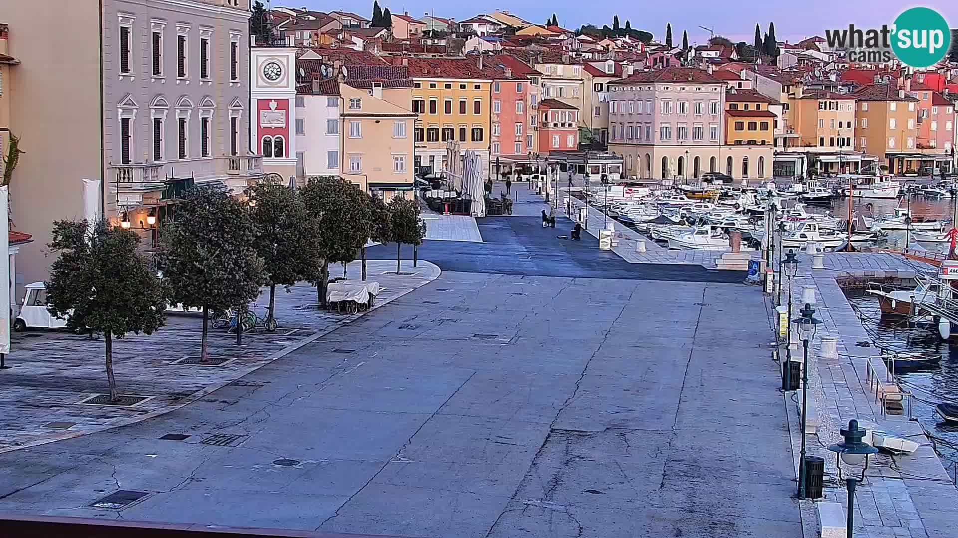 Webcam Rovigno marina | Lungomare | Rovinj Croazia