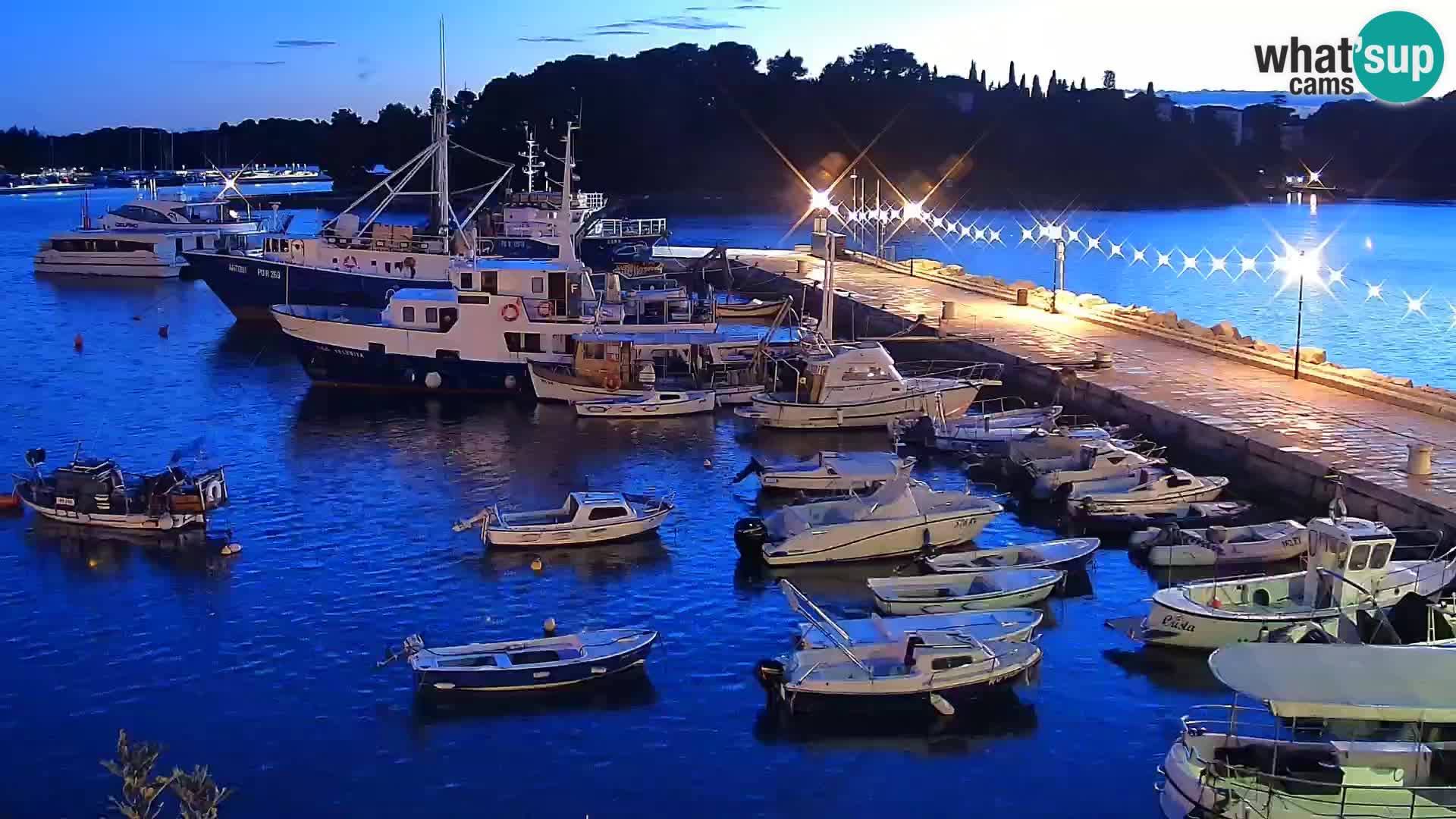 Promenade e marina en Rovinj