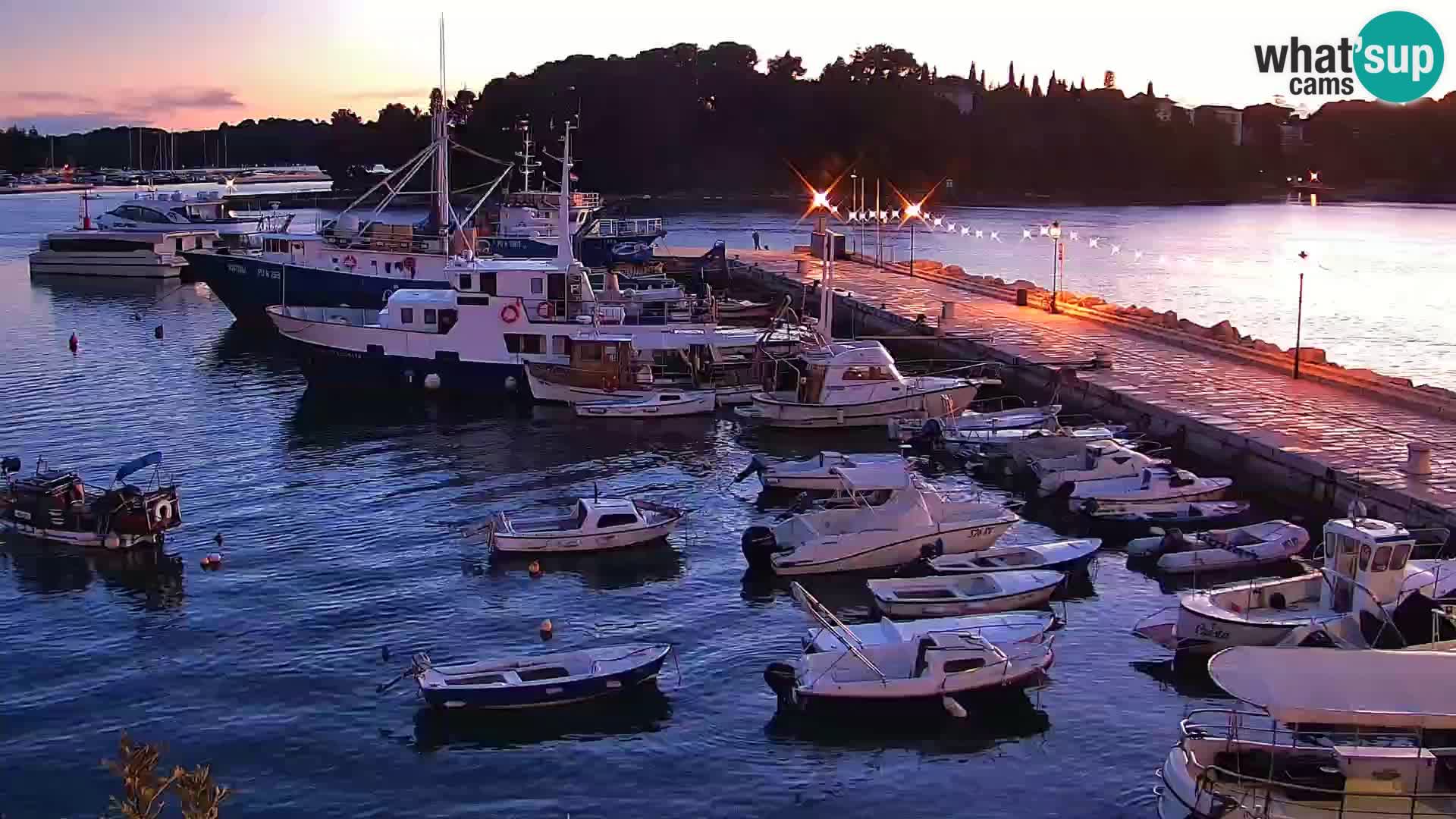 Promenada i marina u Rovinju