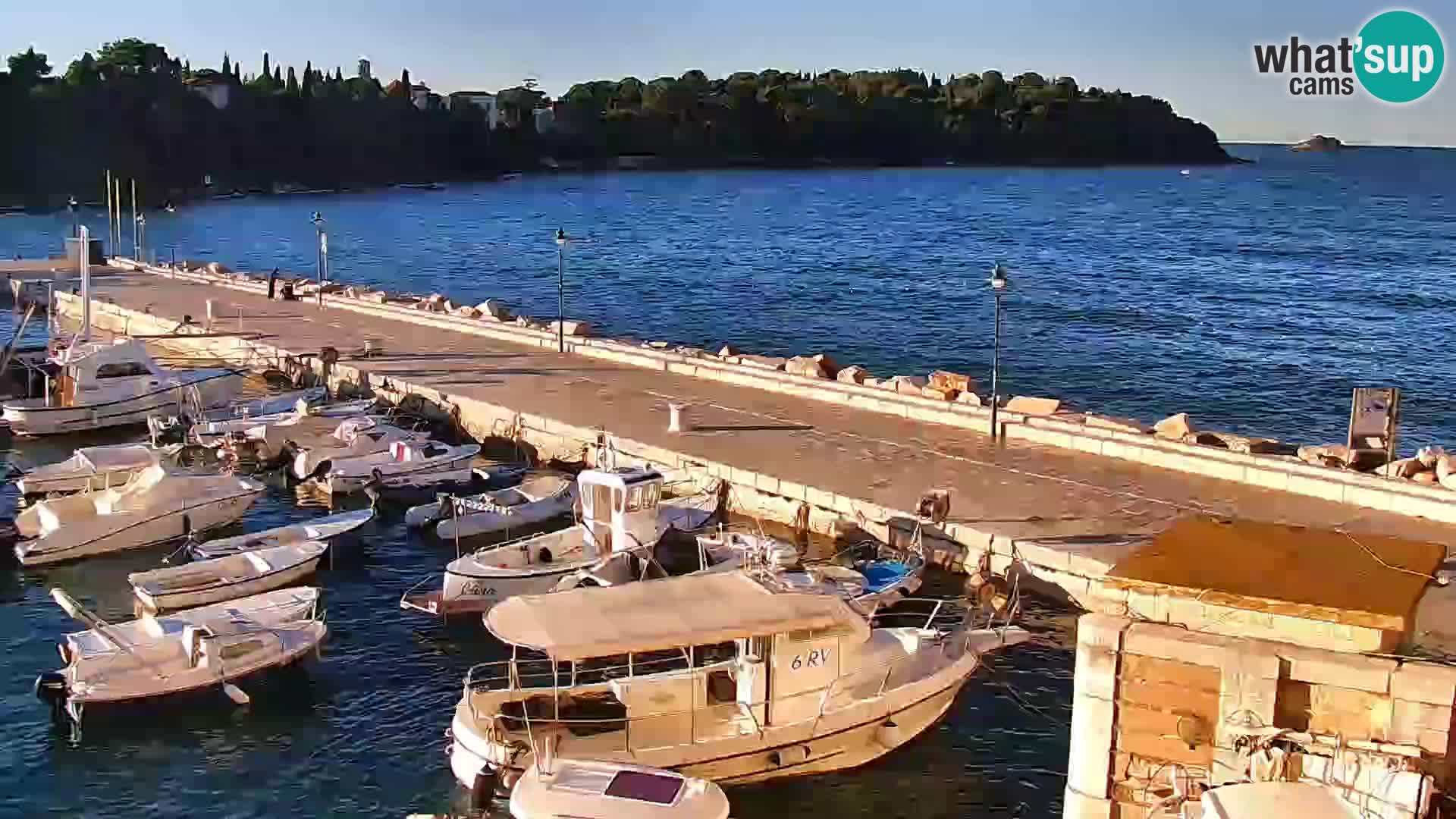 Spletna kamera Rovinj promenada in marina | Rovinj Vreme