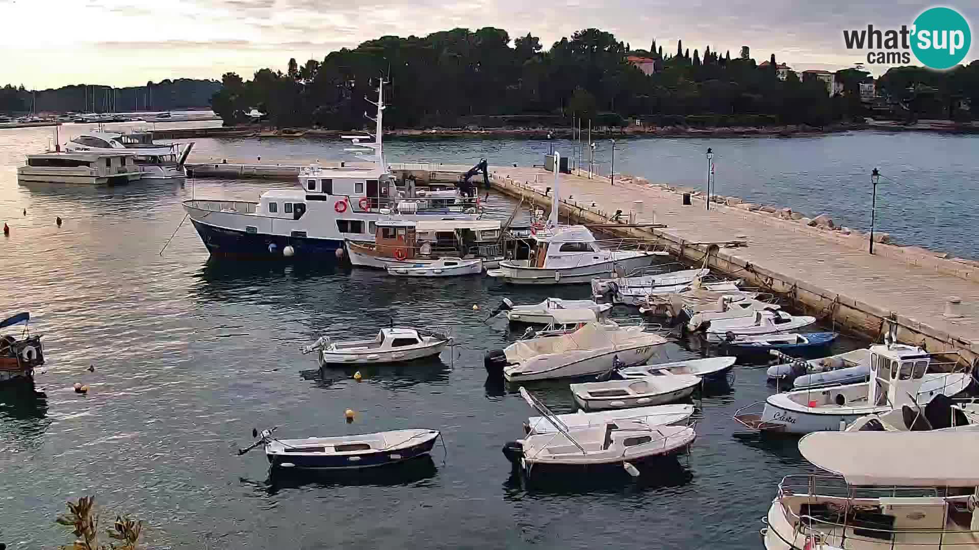 Promenada i marina u Rovinju