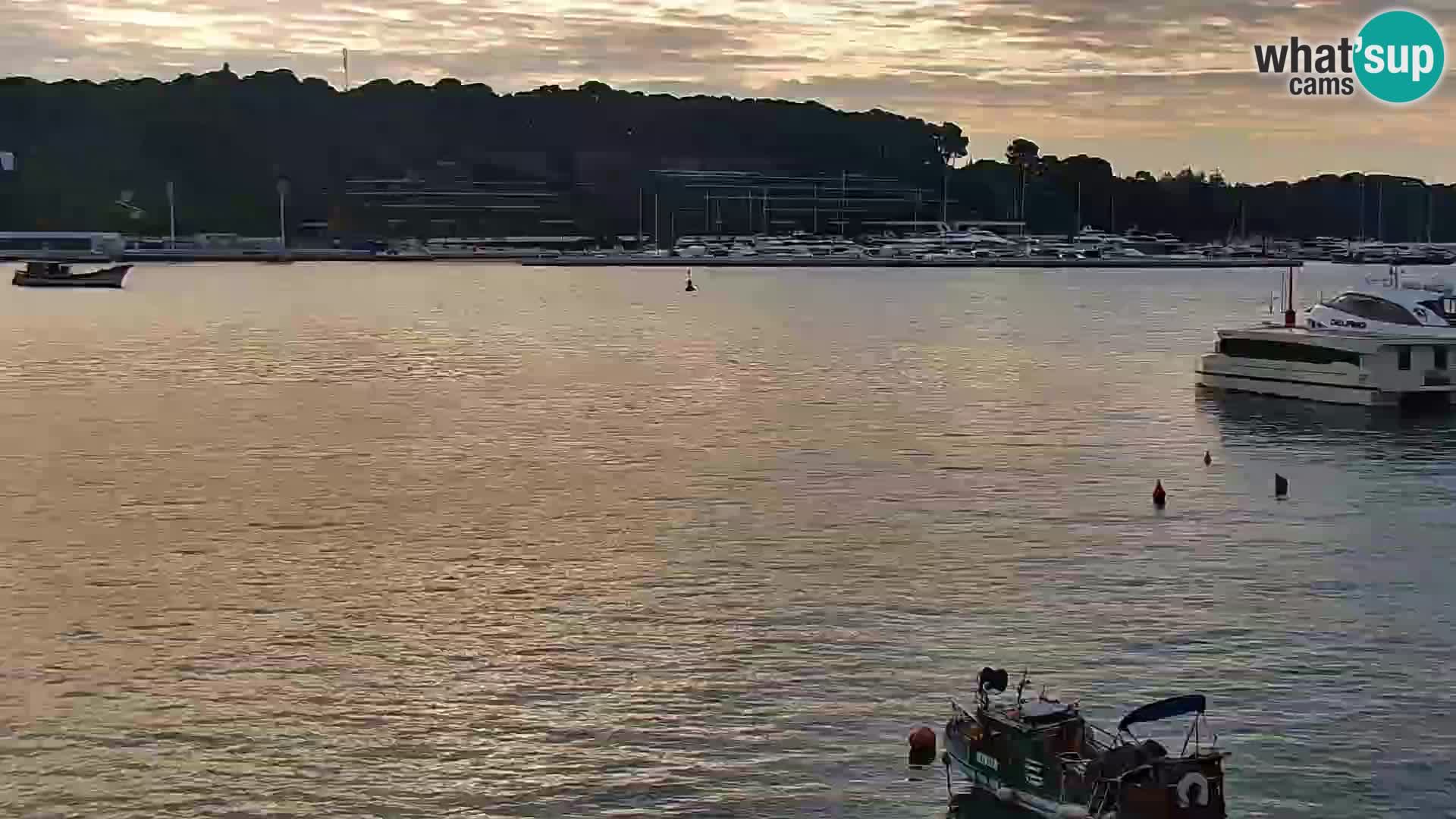 Webcam Rovinj Promenade – Istrien – Kroatien