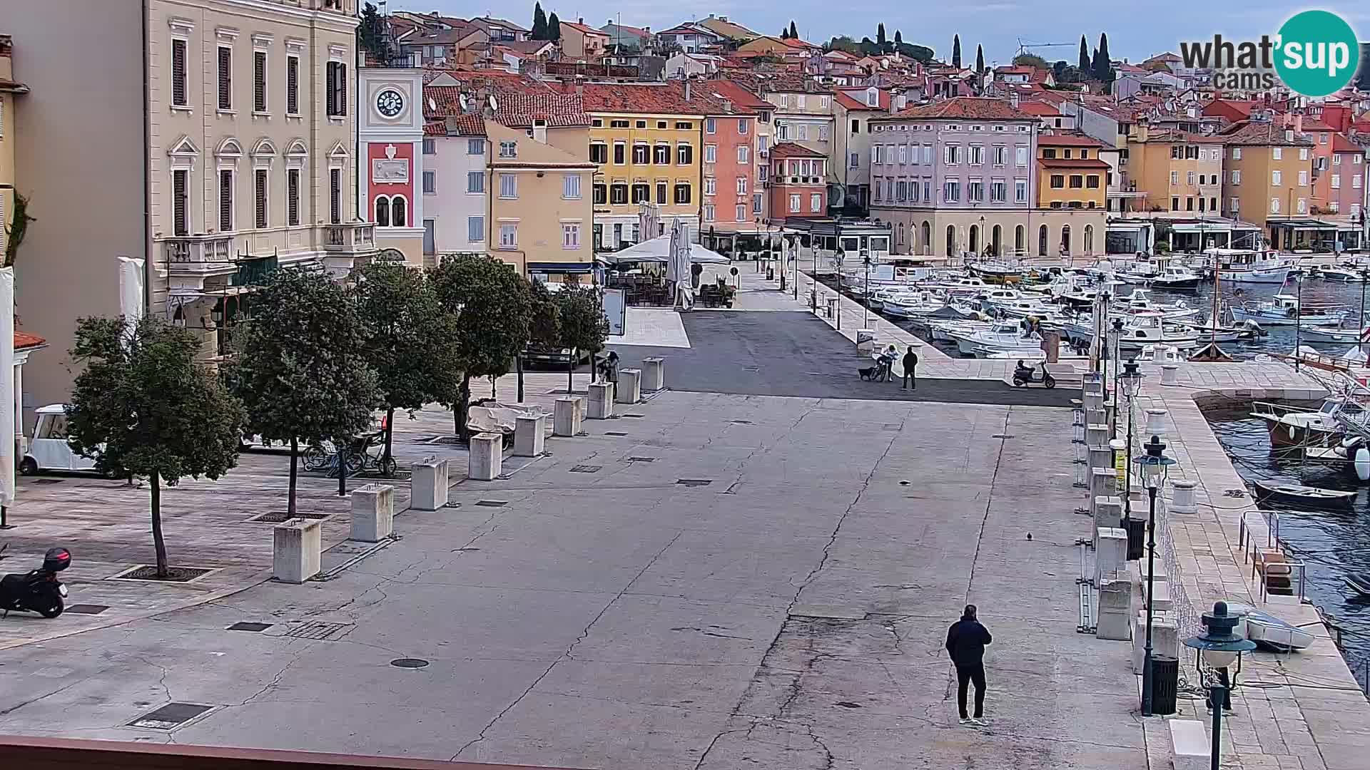 Promenade e marina en Rovinj