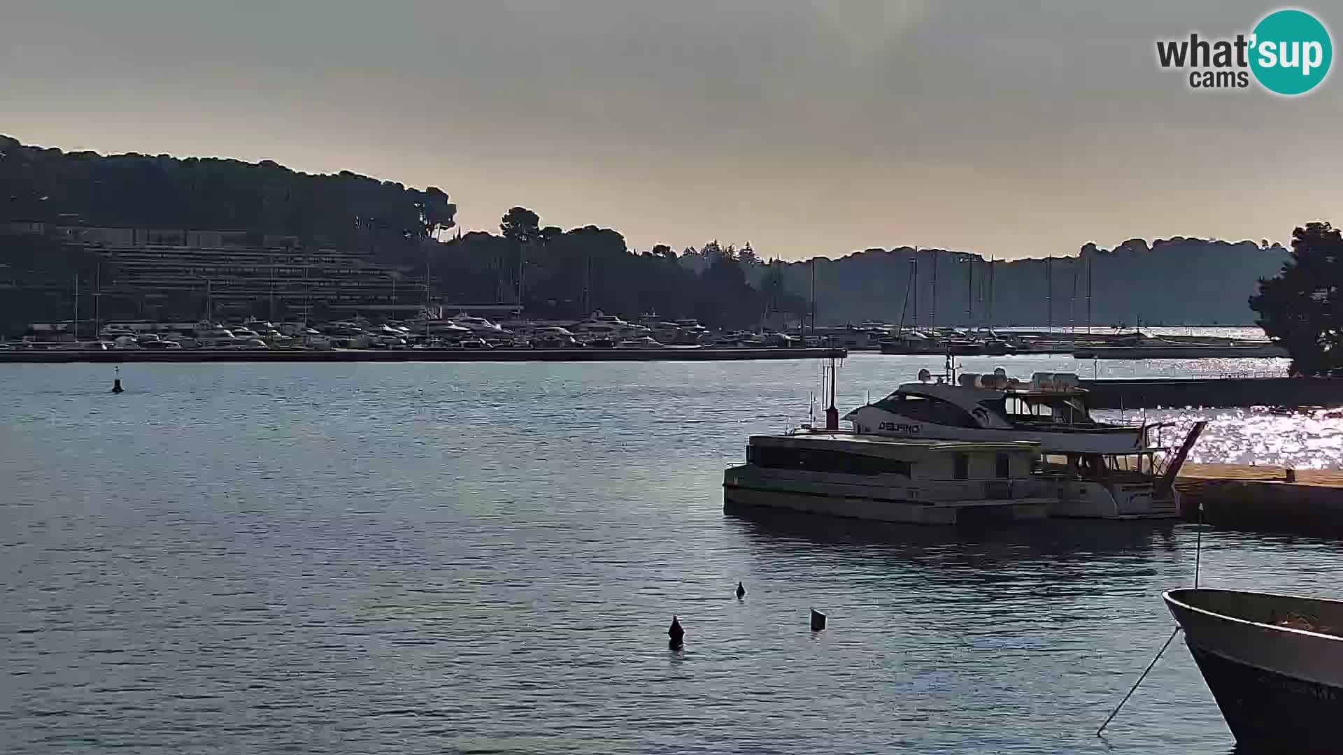 Webcam Rovigno marina | Lungomare | Rovinj Croazia