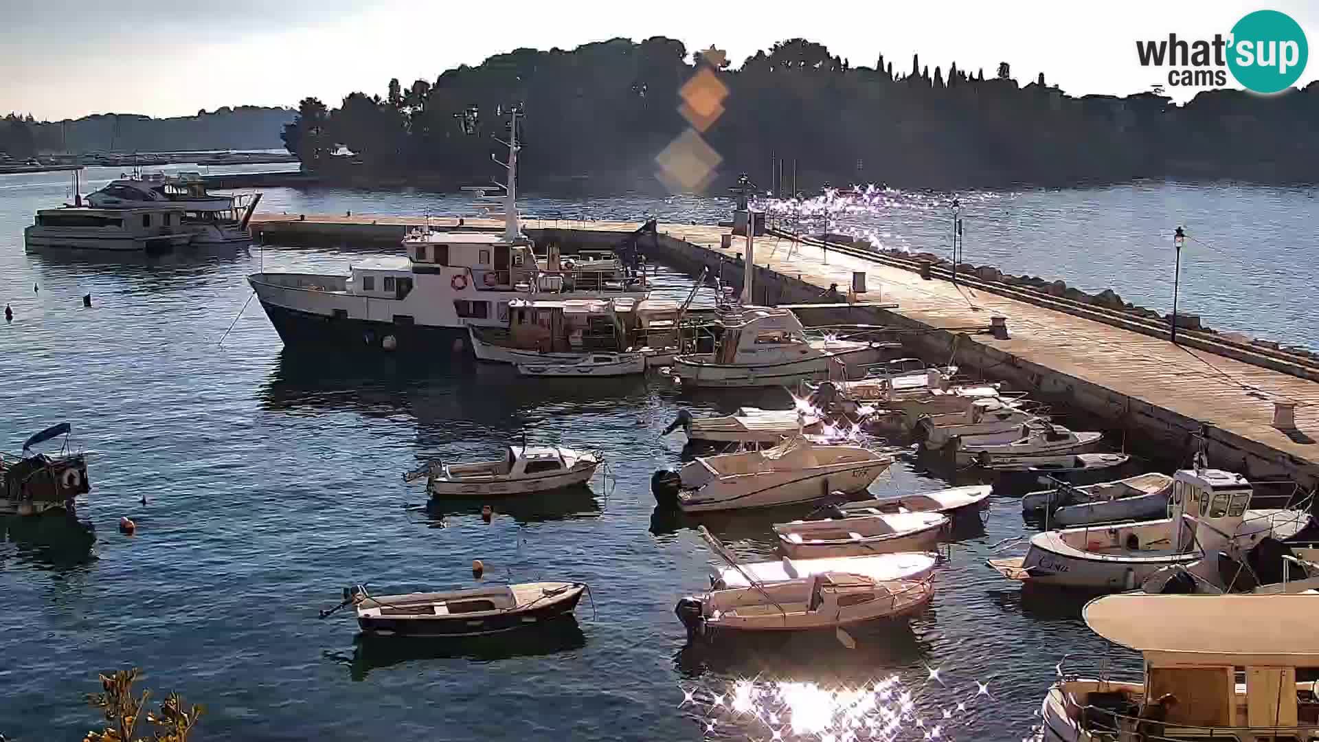 Promenada i marina u Rovinju