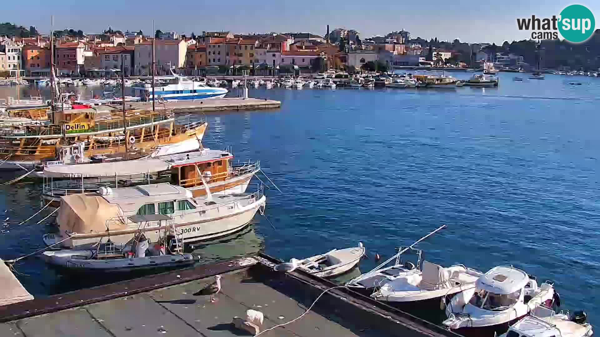 Webcam Rovinj Promenade – Istrien – Kroatien