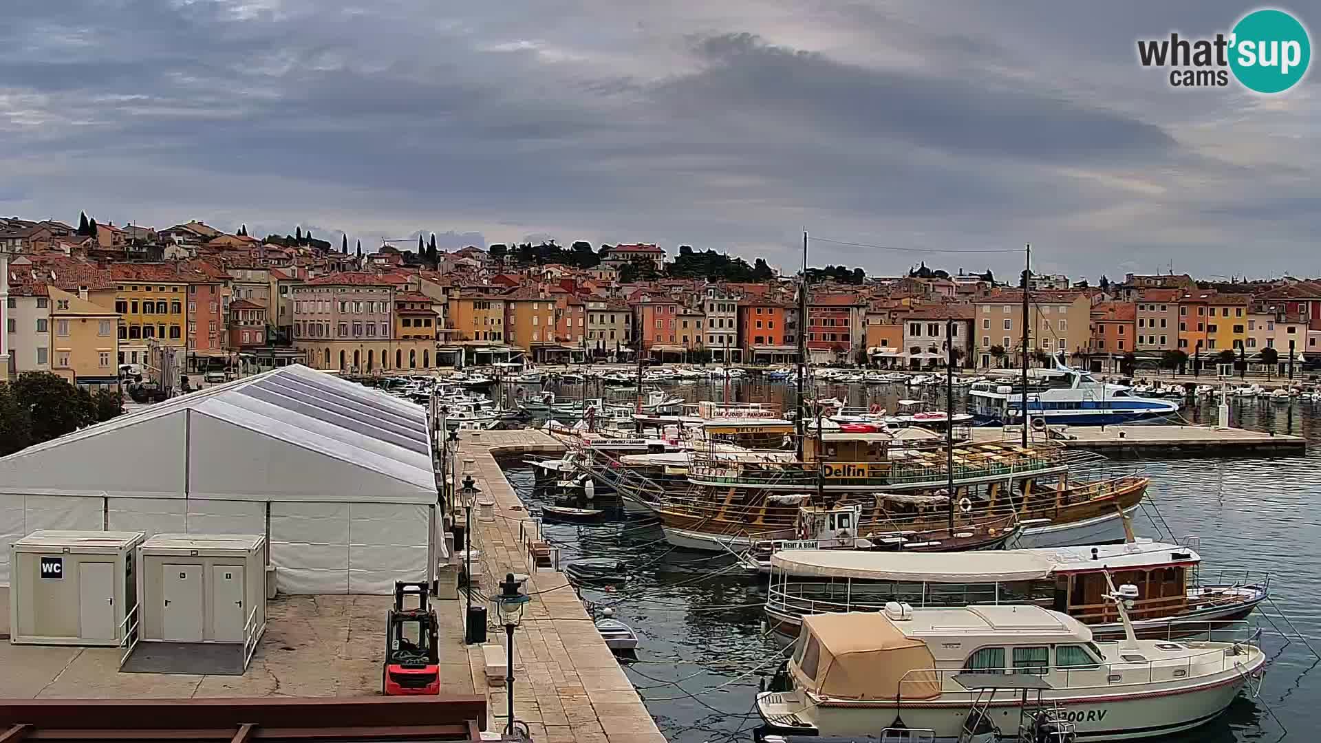 Promenade e marina en Rovinj