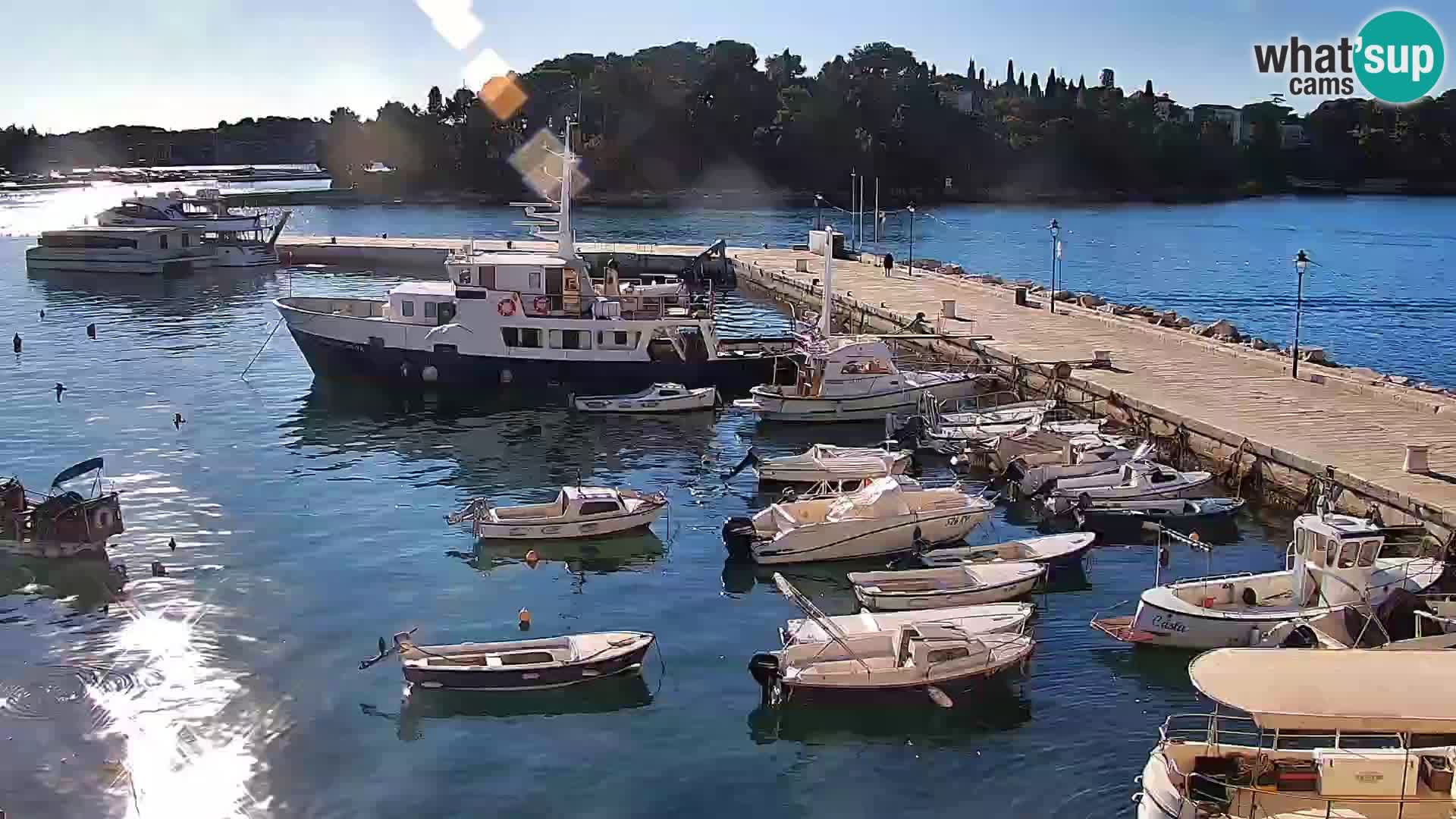 Spletna kamera Rovinj promenada in marina | Rovinj Vreme