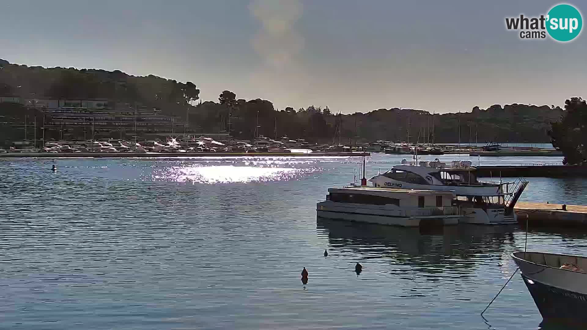 Spletna kamera Rovinj promenada in marina | Rovinj Vreme