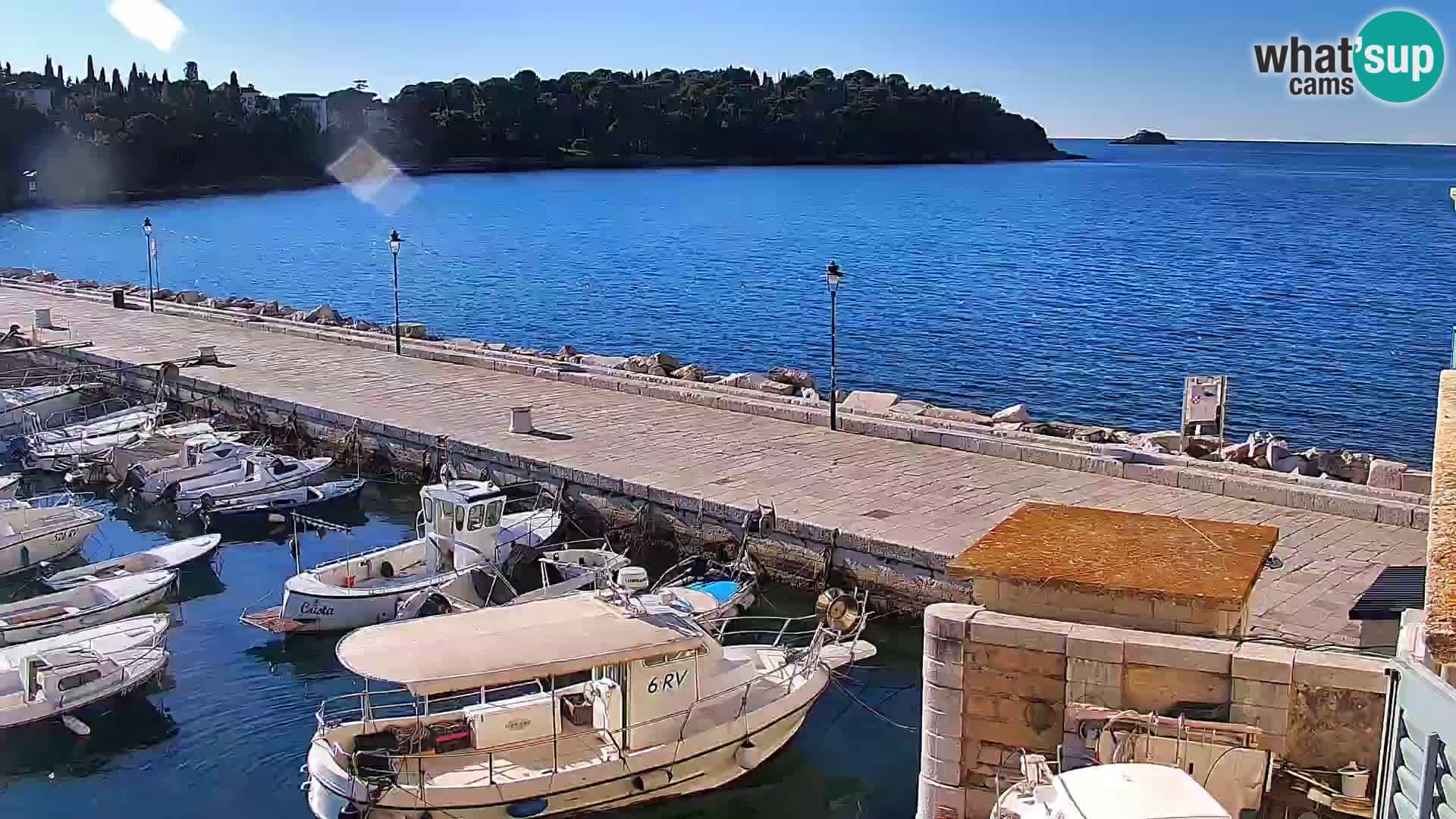 Promenade e marina en Rovinj