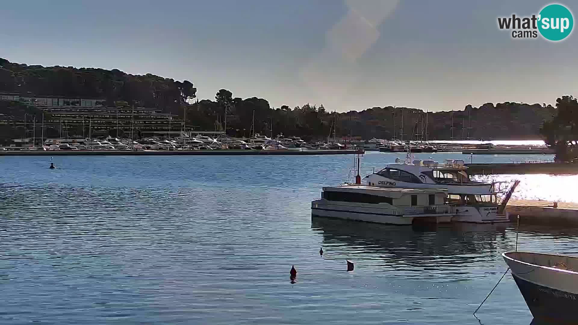 Webcam Rovinj Promenade – Istrien – Kroatien