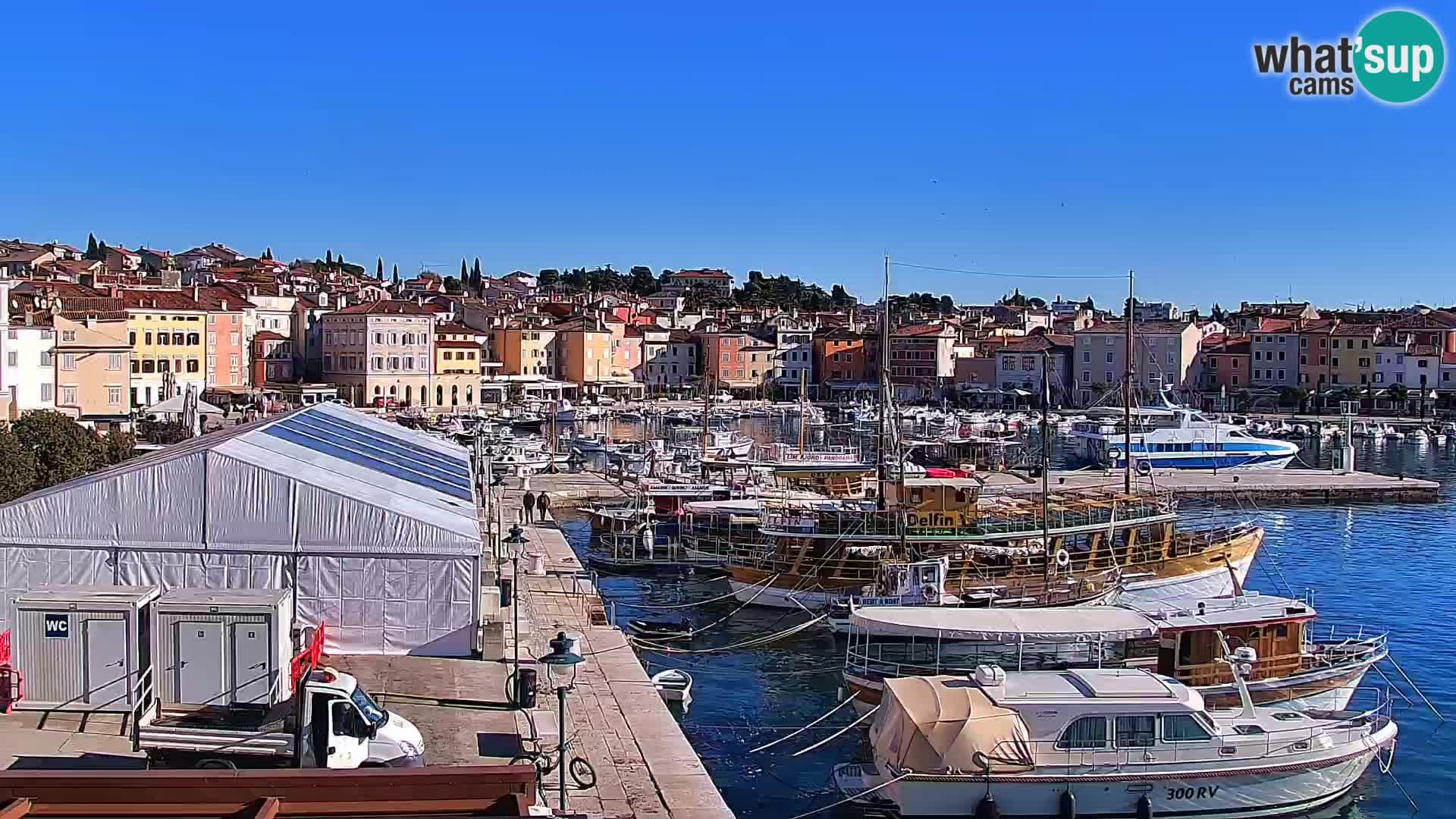 Promenade e marina en Rovinj