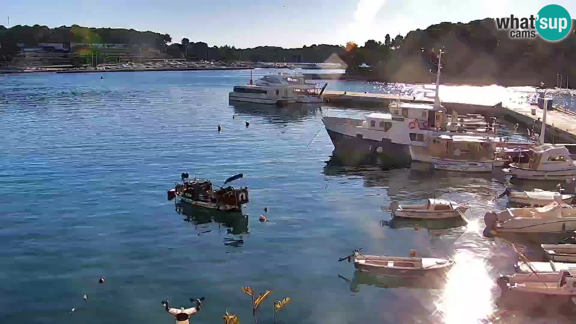 Spletna kamera Rovinj promenada in marina | Rovinj Vreme