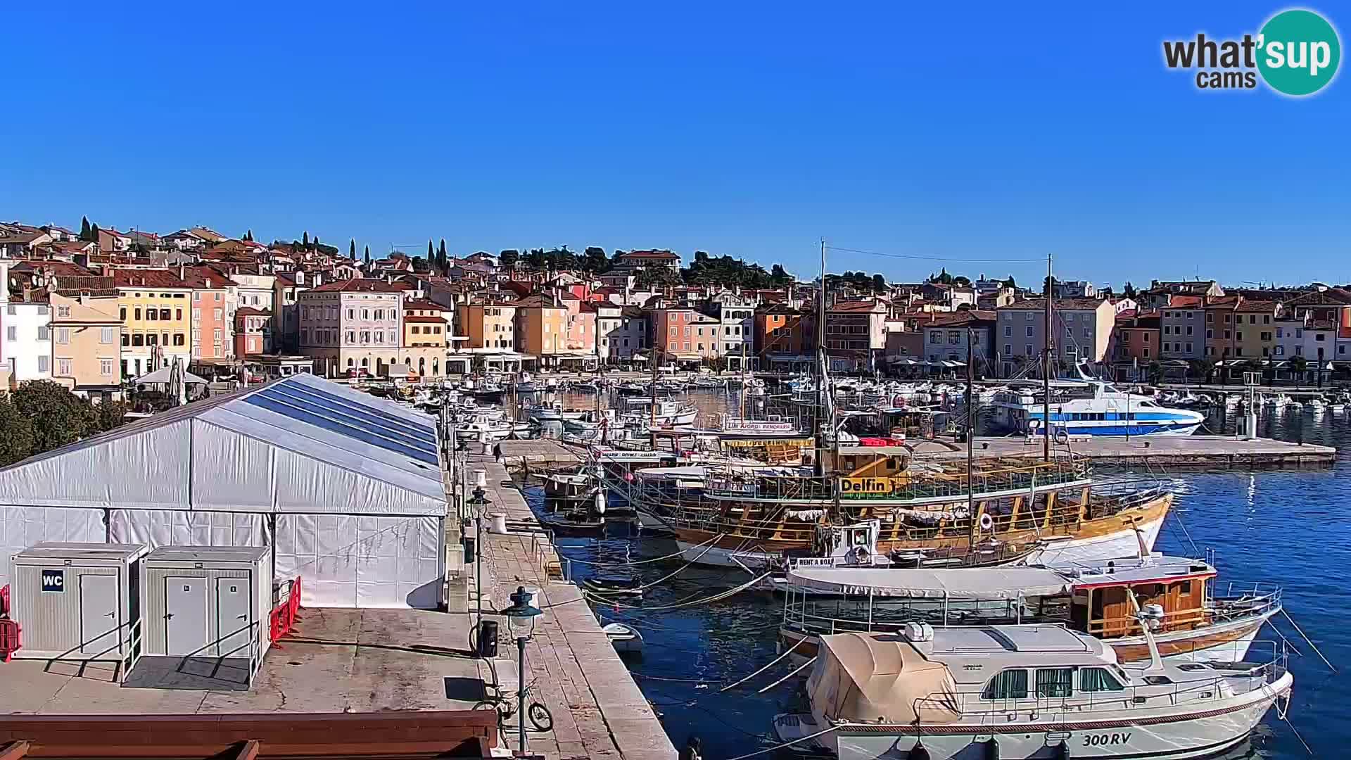 Promenada i marina u Rovinju