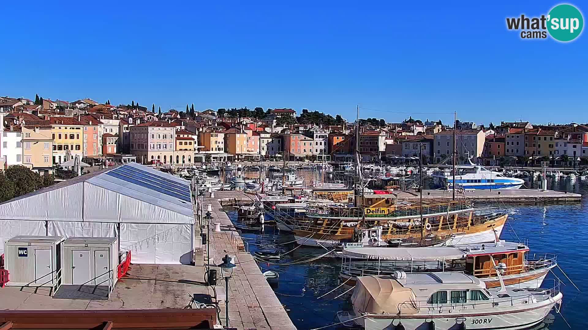 Promenada i marina u Rovinju