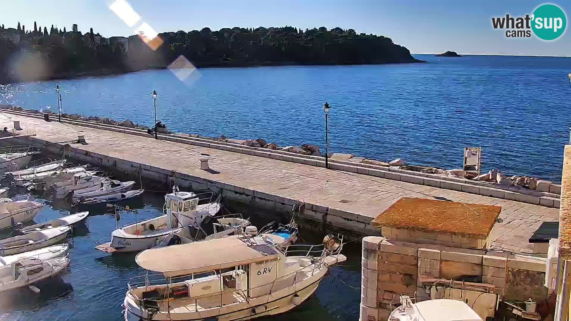 Promenade e marina en Rovinj