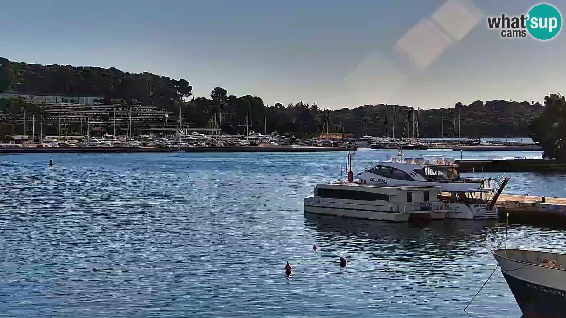 Webcam Rovinj Promenade – Istrien – Kroatien