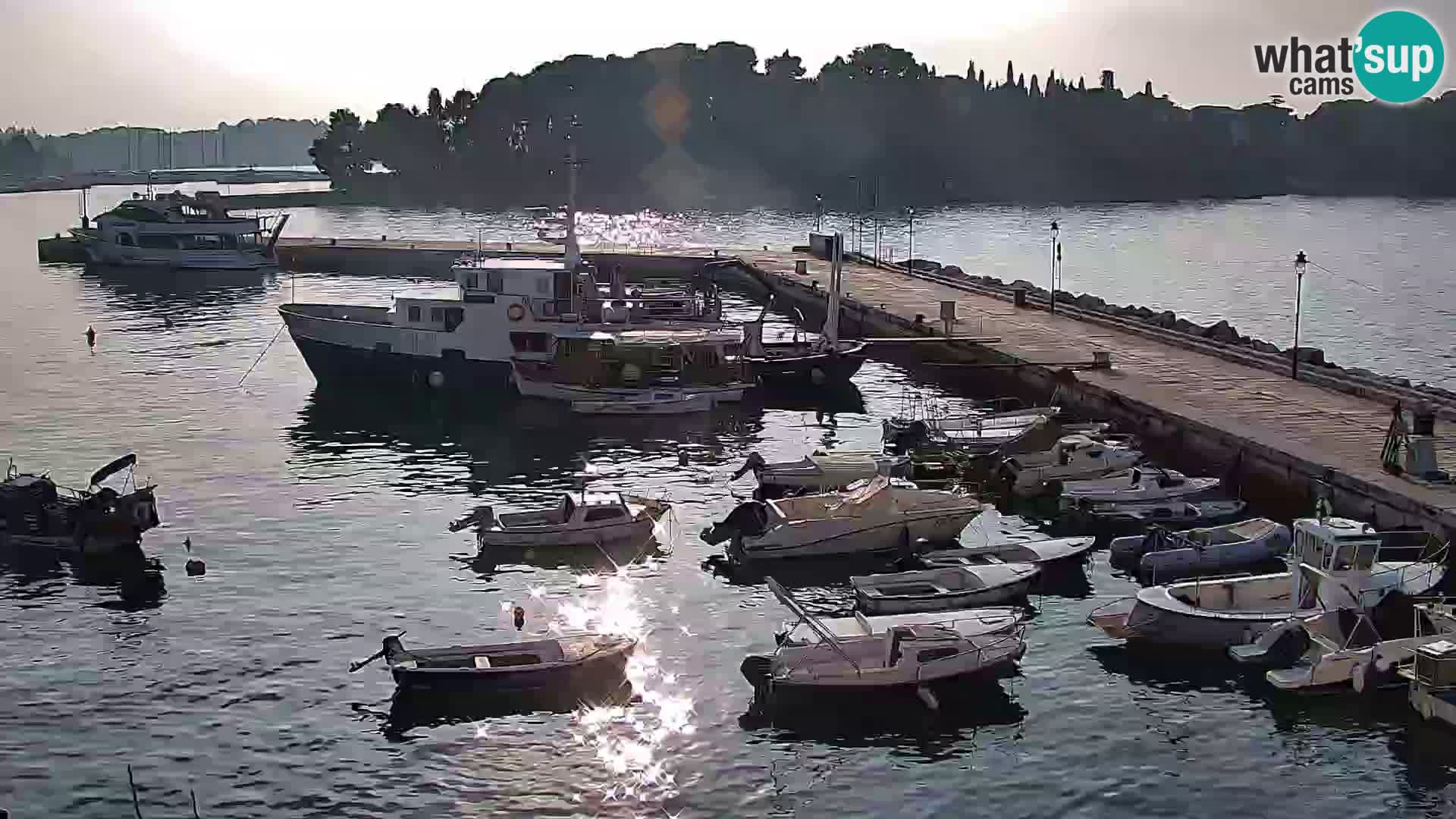 Webcam Rovigno marina | Lungomare | Rovinj Croazia