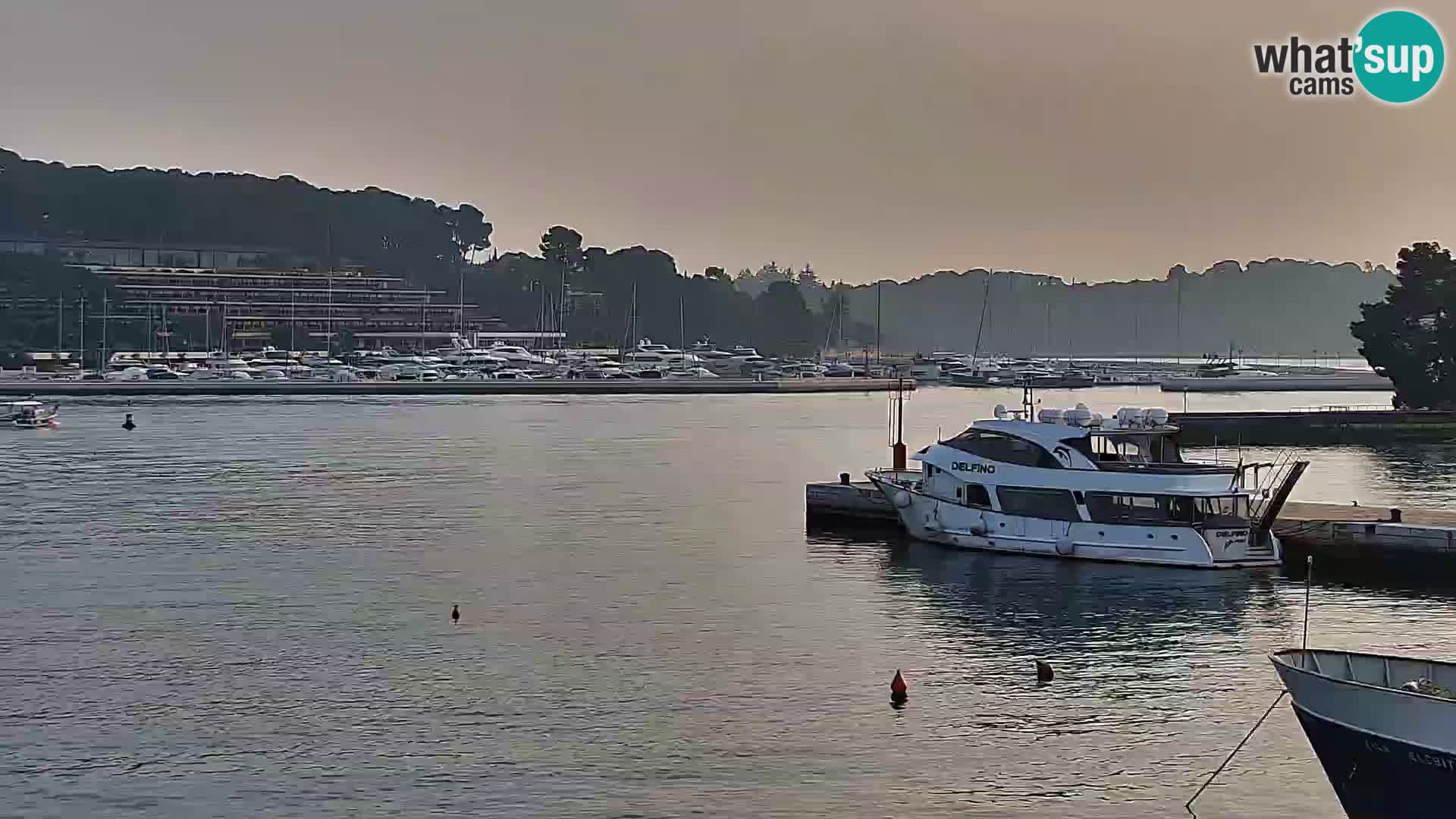 Promenade e marina en Rovinj