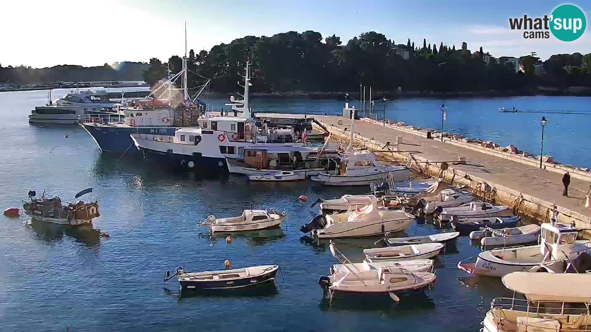 Promenada i marina u Rovinju