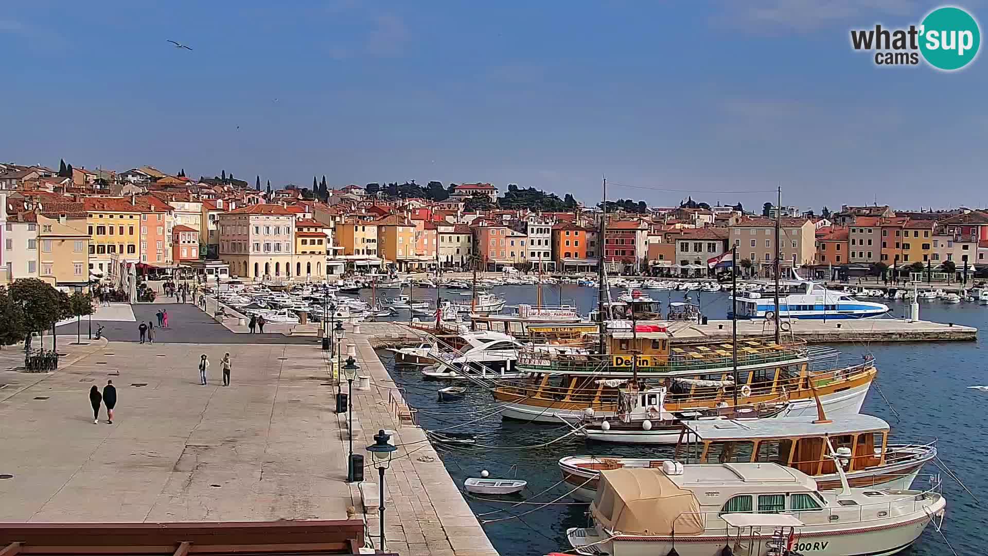 Promenade und marina in Rovinj webcam – Istrien – Kroatien