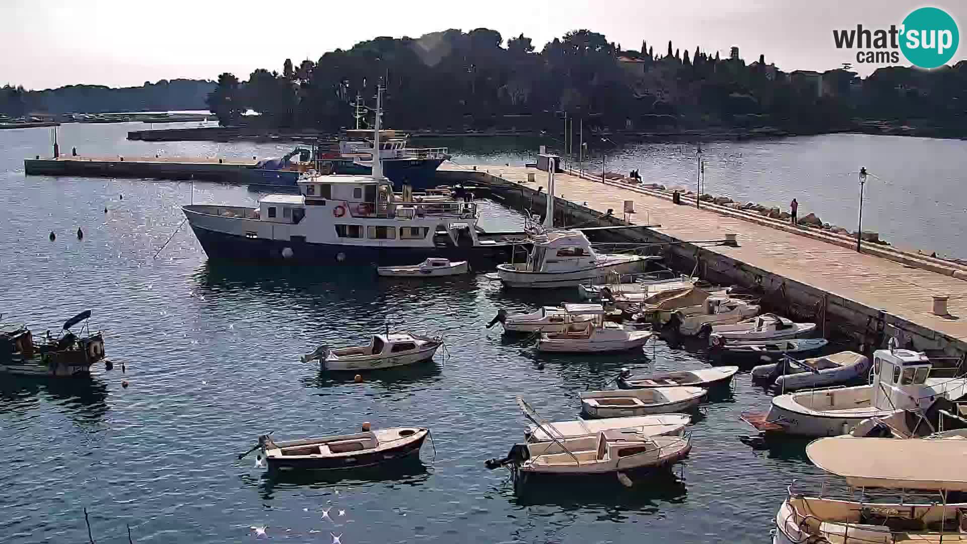 Promenade und marina in Rovinj webcam – Istrien – Kroatien