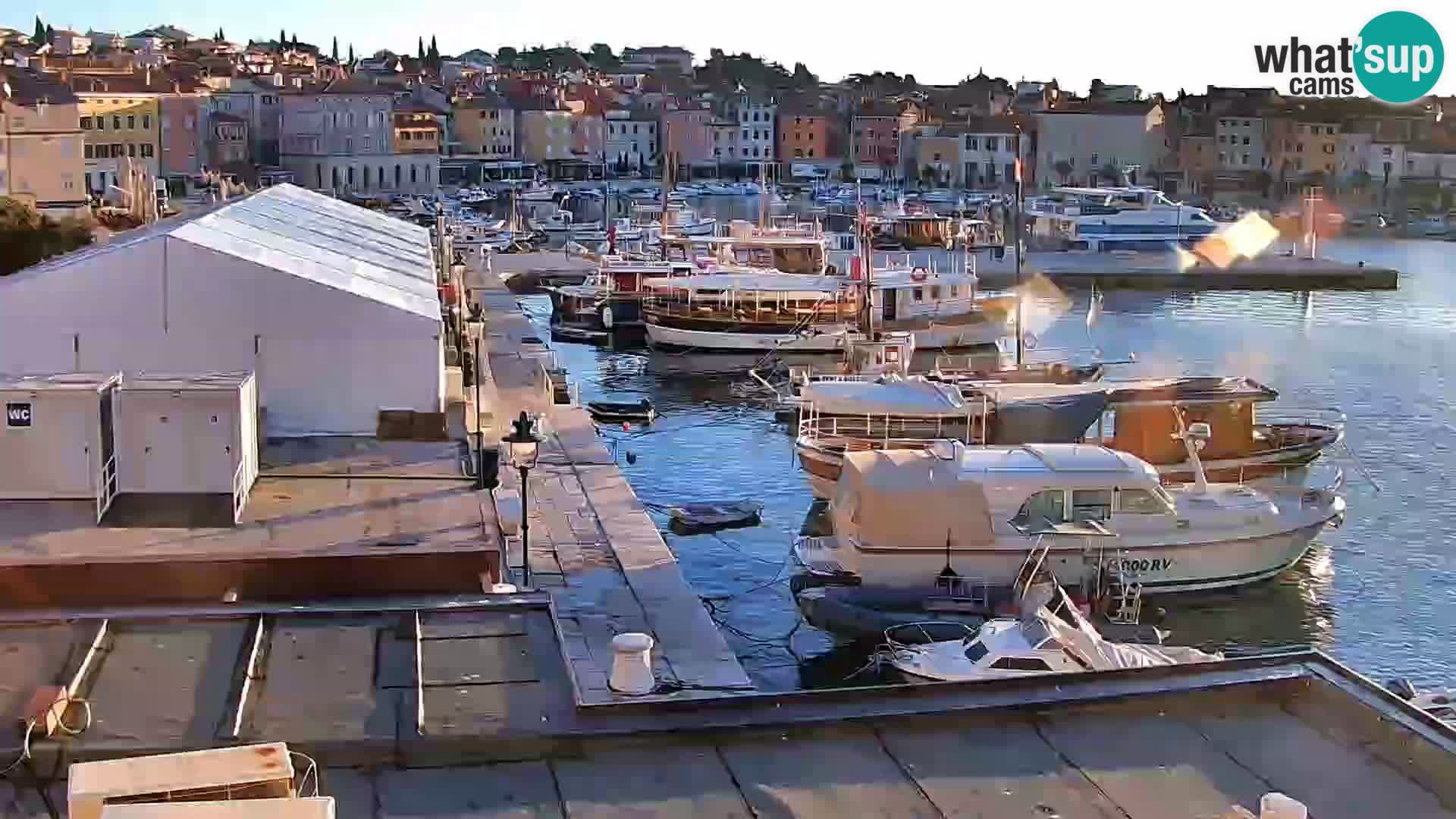 Promenade und marina in Rovinj webcam – Istrien – Kroatien