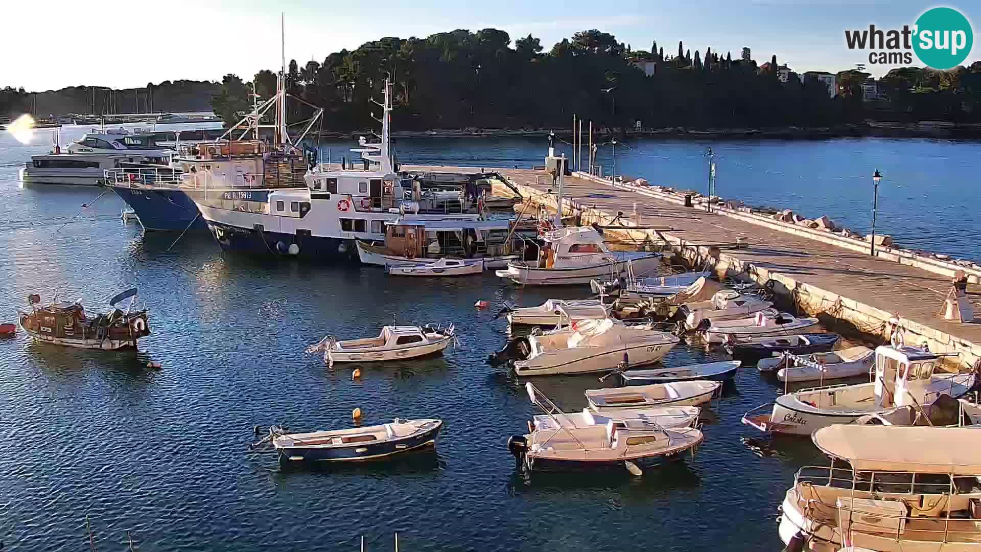 Lungomare e marina a Rovigno – Webcam motorizzata