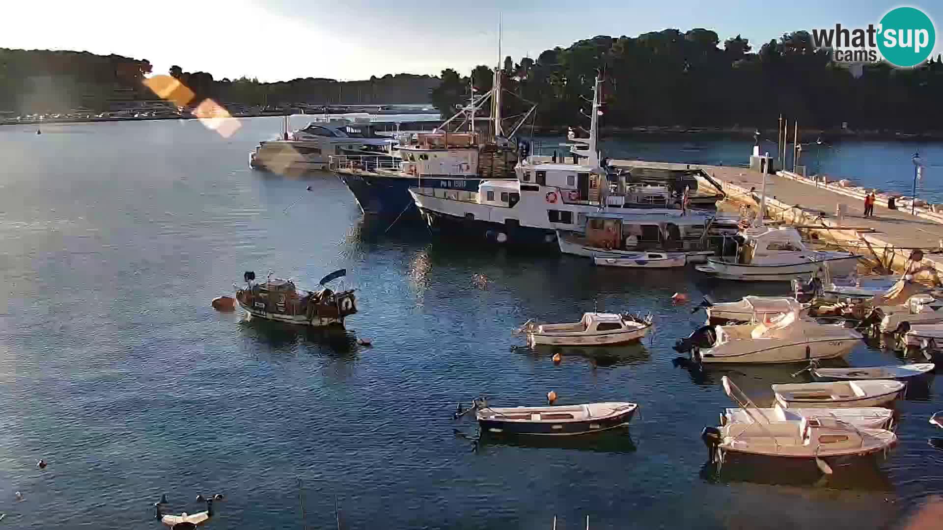 Promenade e marina a Rovinj