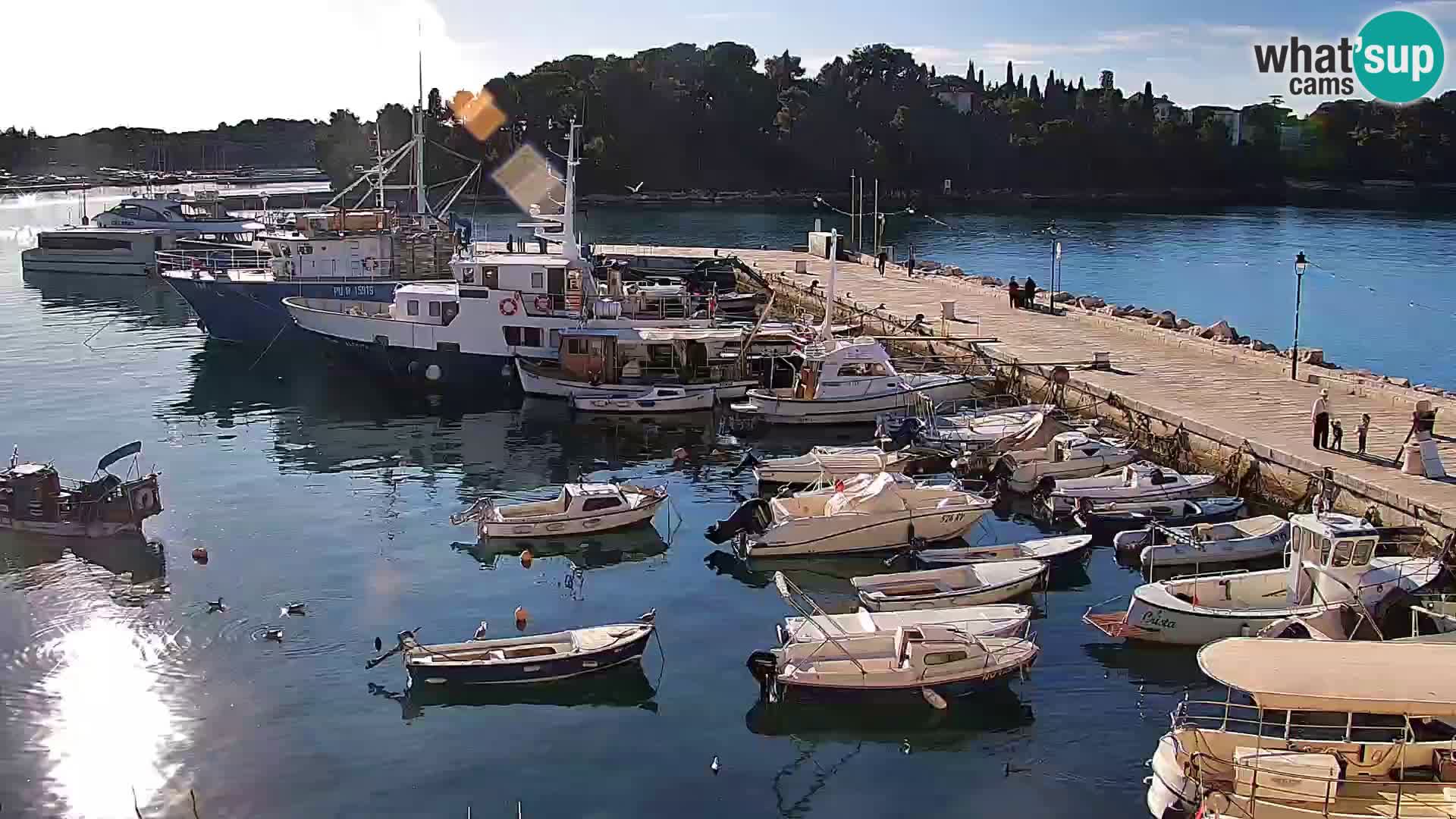 Seaside promenade and marina in Rovinj webcam – Istria – Croatia