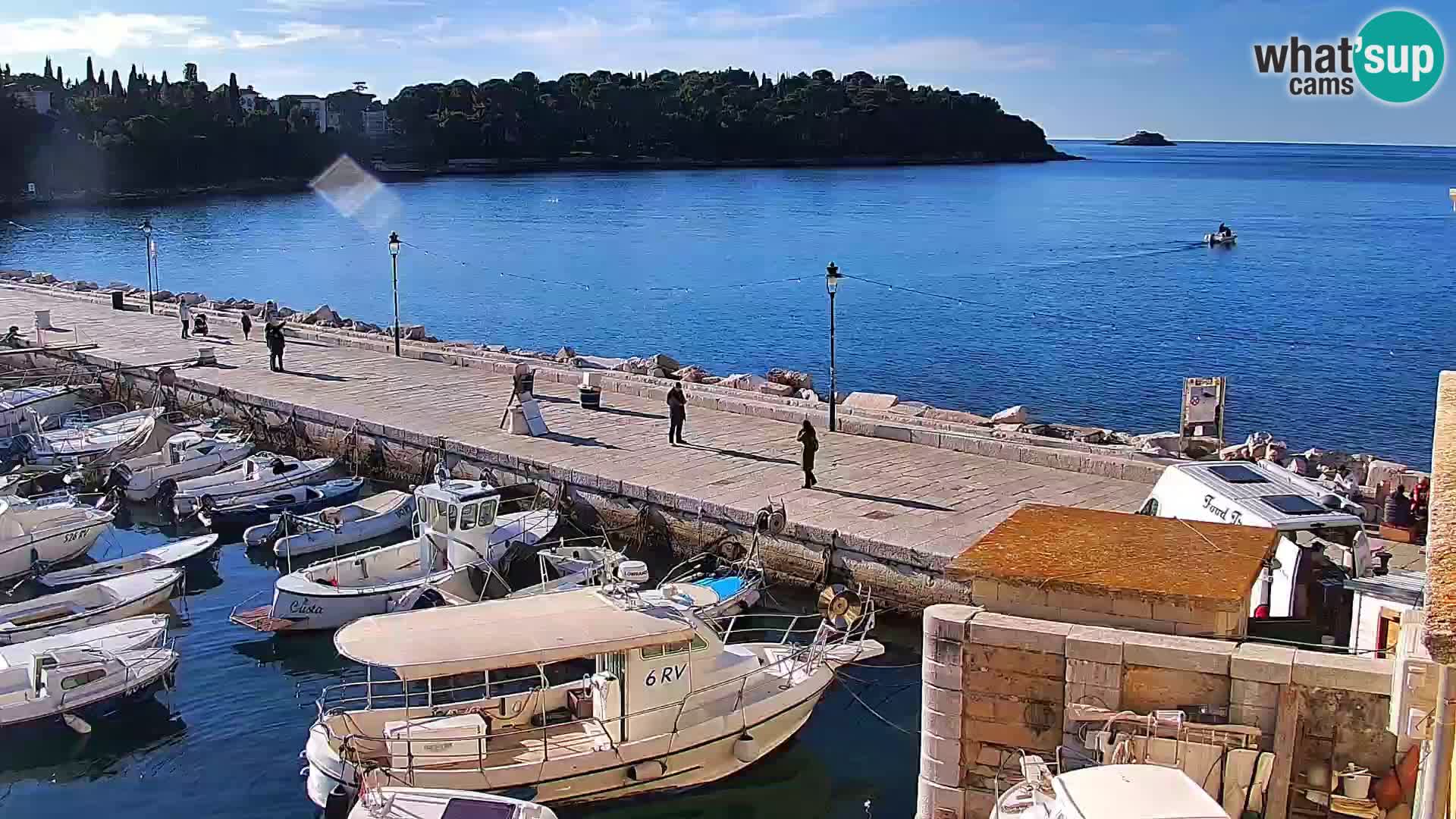 Promenada i marina u Rovinju