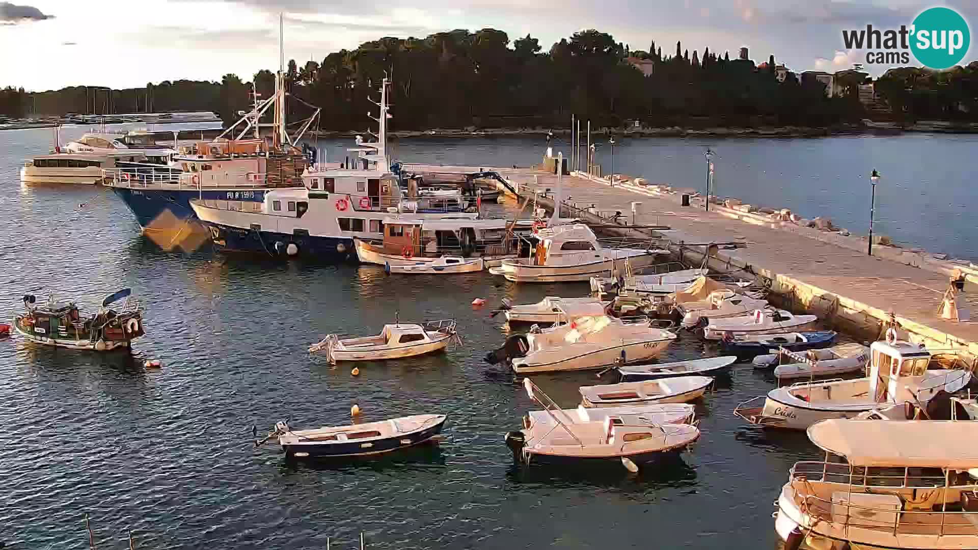 Webcam Rovigno marina | Lungomare | Rovinj Croazia