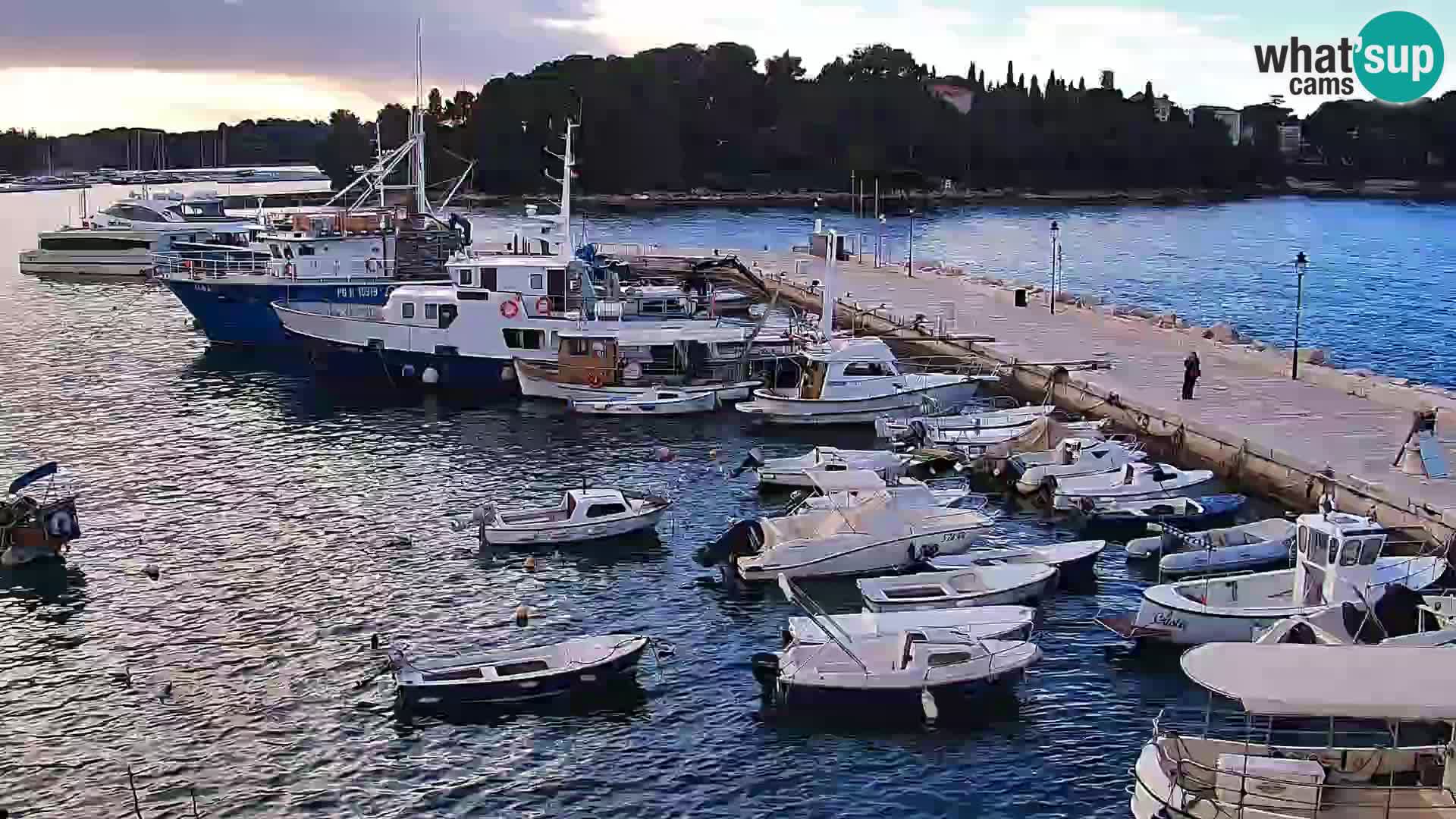 Rovinj webcam promenade and marina – Istria – Croatia