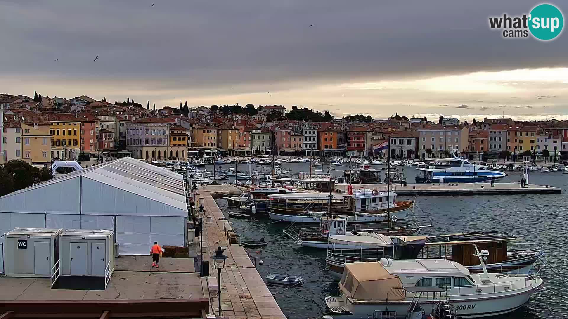 Webcam Rovinj Promenade – Istrien – Kroatien